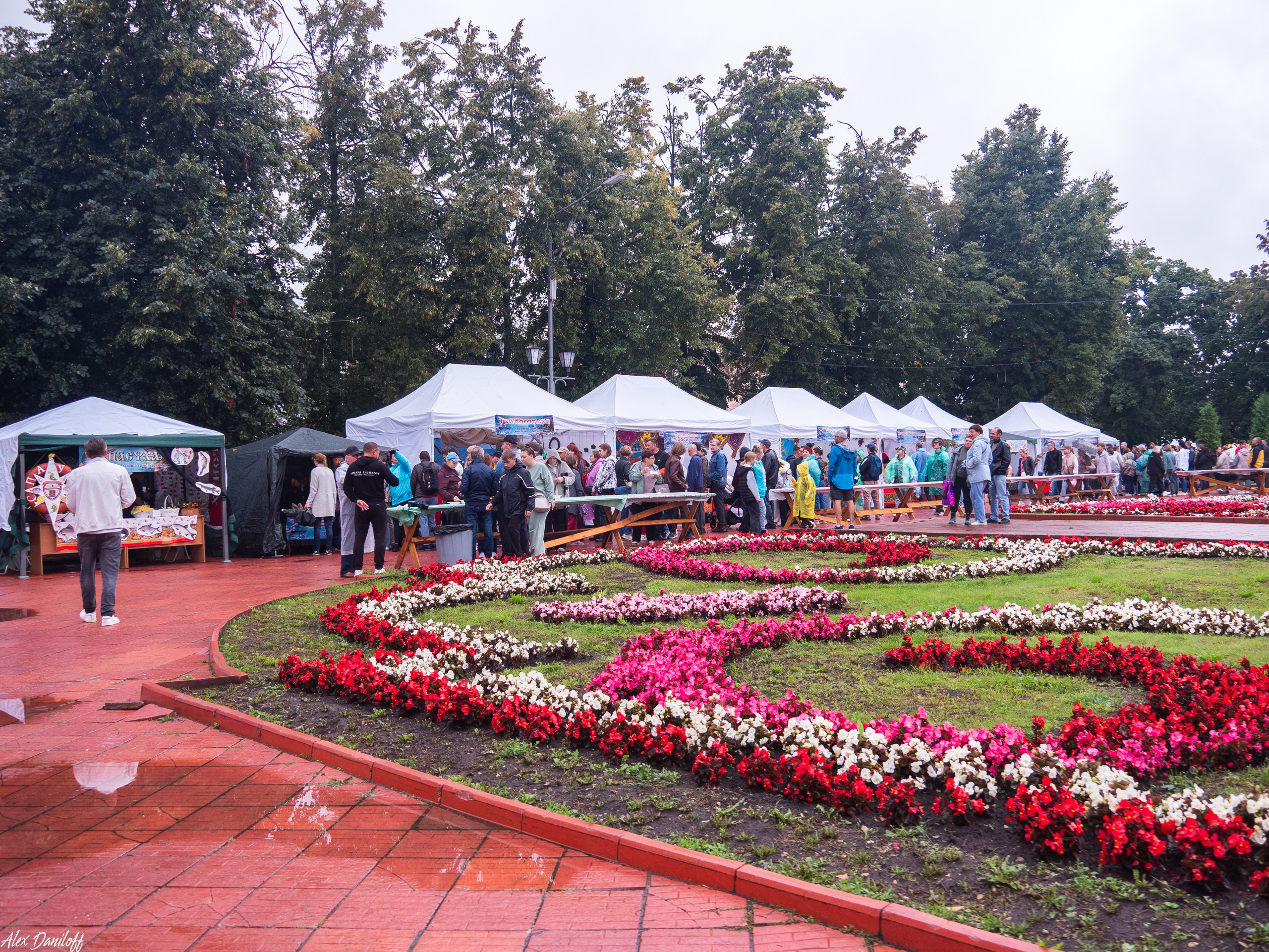 День города Муром 2025. Муром-Инфо. Новости культуры, образования, спорта в городе Муром