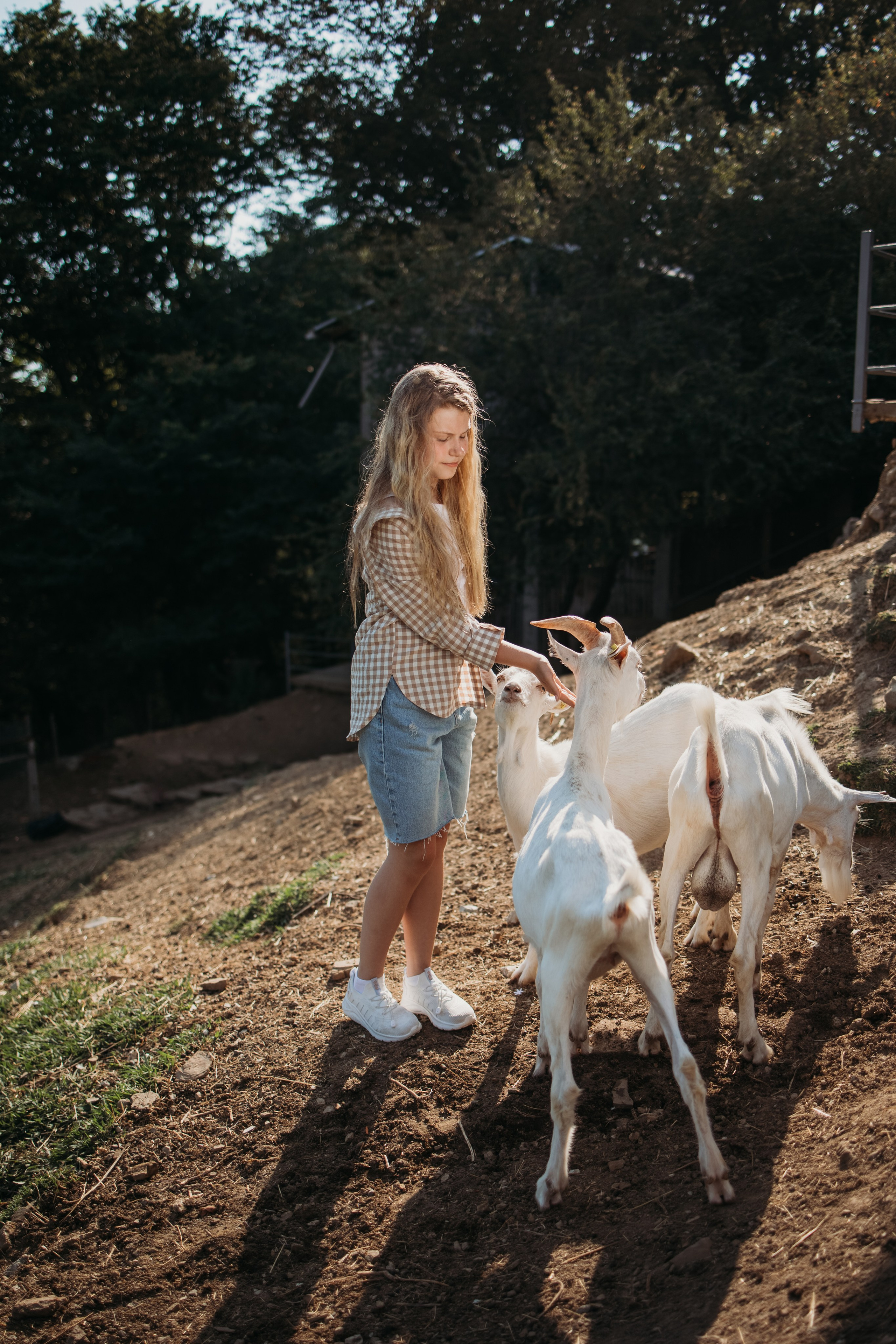 Ферма Экзархо. Фотограф Сочи Татьяна Зорина