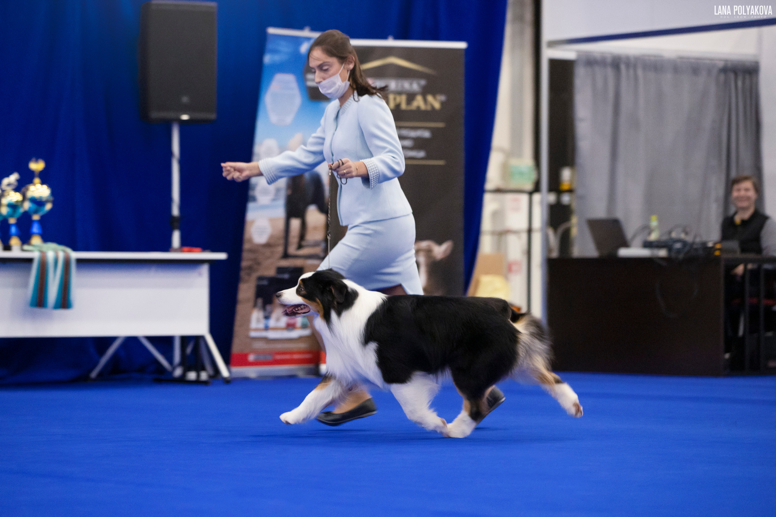 IDS «NEVSKY WINNER-2021» and «MEMORIAL OF P.A.ZAVODCHIKOV-2021». ФОТОГРАФ-АНИМАЛИСТ l LANA POLYAKOVA