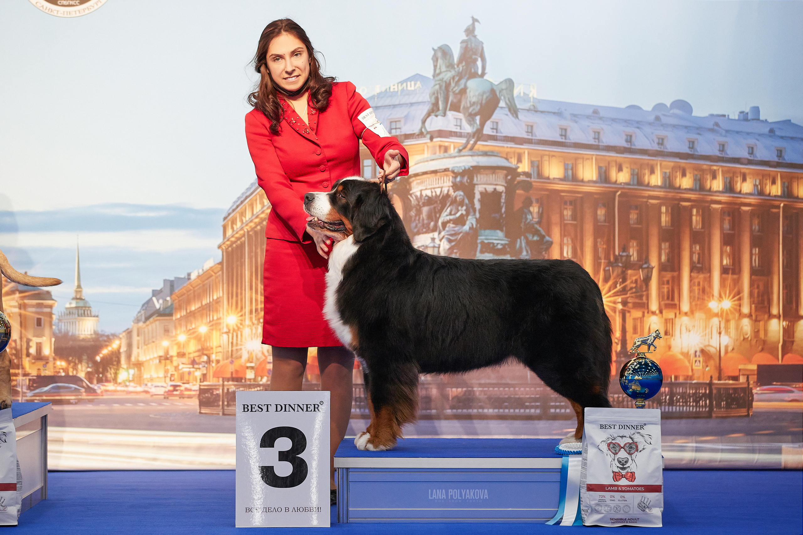 IDS «NEVSKY WINNER-2021» and «MEMORIAL OF P.A.ZAVODCHIKOV-2021». ФОТОГРАФ-АНИМАЛИСТ l LANA POLYAKOVA