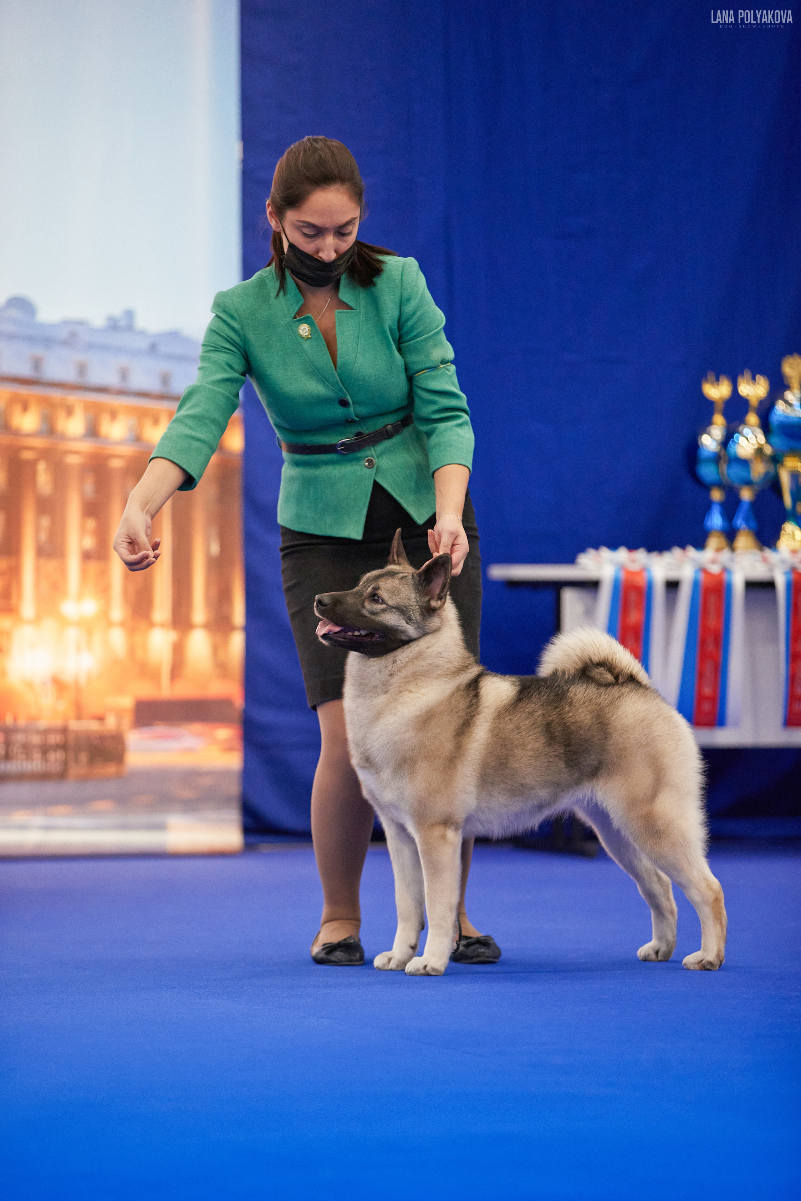 IDS «NEVSKY WINNER-2021» and «MEMORIAL OF P.A.ZAVODCHIKOV-2021». ФОТОГРАФ-АНИМАЛИСТ l LANA POLYAKOVA
