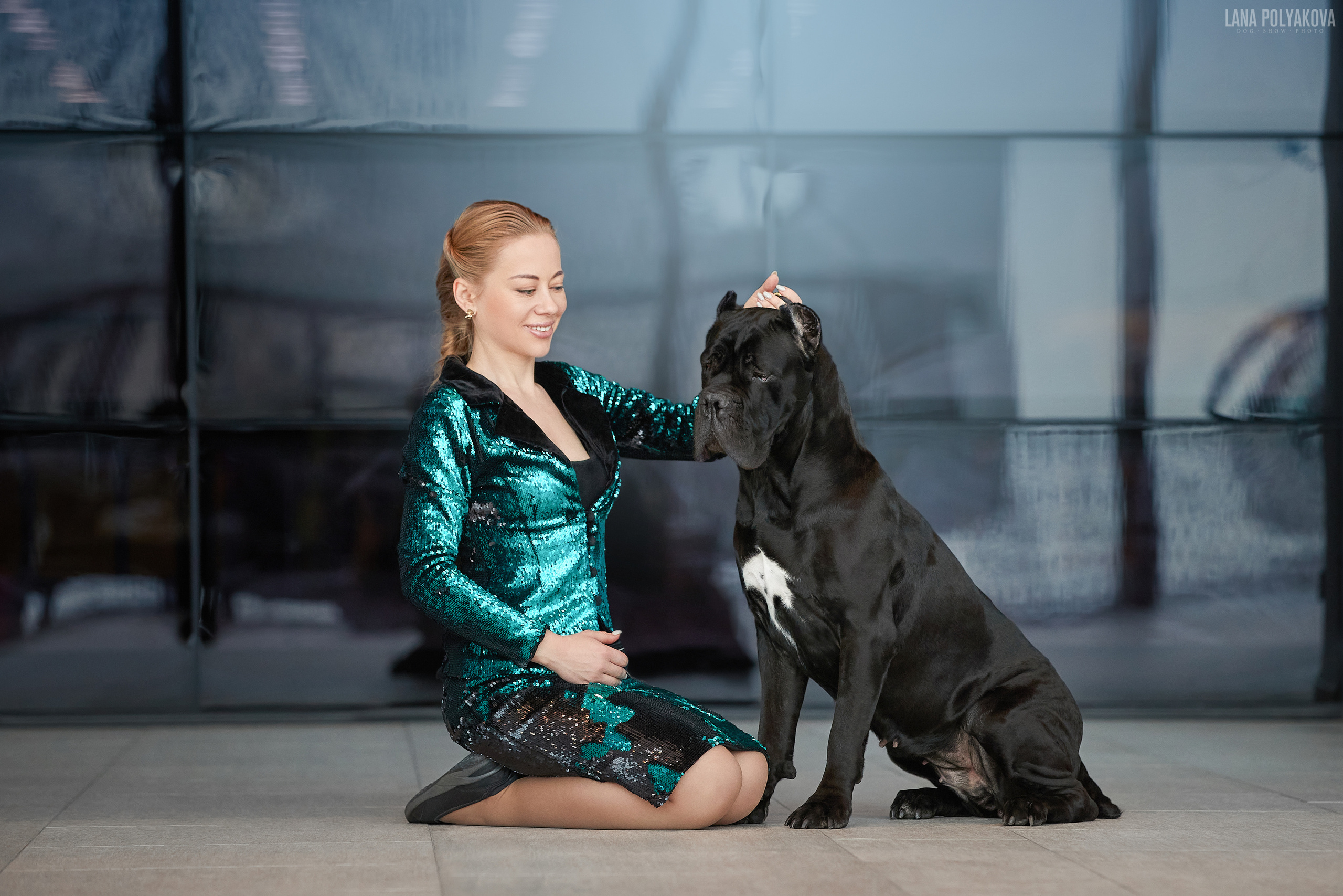 IDS «NEVSKY WINNER-2021» and «MEMORIAL OF P.A.ZAVODCHIKOV-2021». ФОТОГРАФ-АНИМАЛИСТ l LANA POLYAKOVA