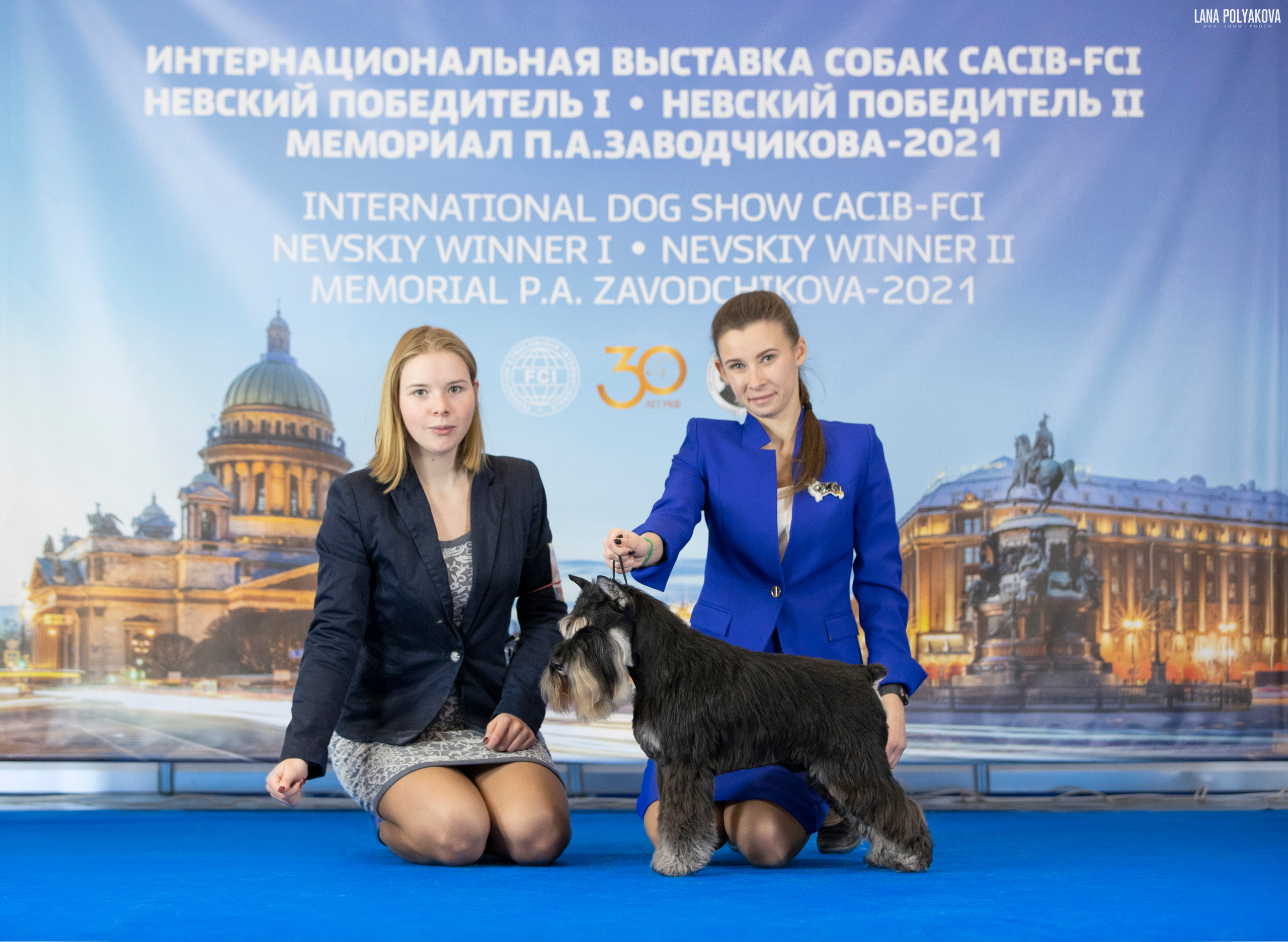 IDS «NEVSKY WINNER-2021» and «MEMORIAL OF P.A.ZAVODCHIKOV-2021». ФОТОГРАФ-АНИМАЛИСТ l LANA POLYAKOVA