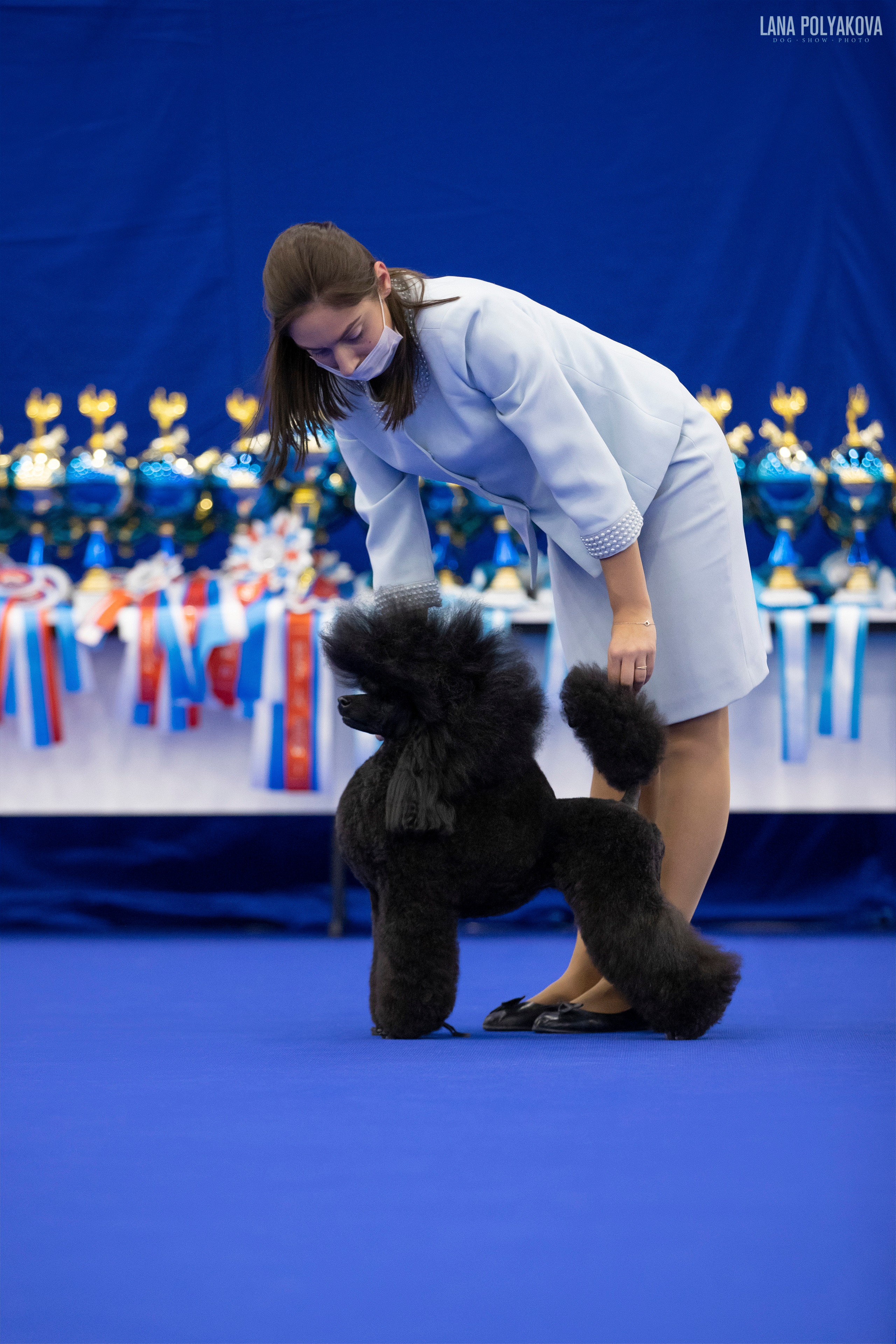 IDS «NEVSKY WINNER-2021» and «MEMORIAL OF P.A.ZAVODCHIKOV-2021». ФОТОГРАФ-АНИМАЛИСТ l LANA POLYAKOVA