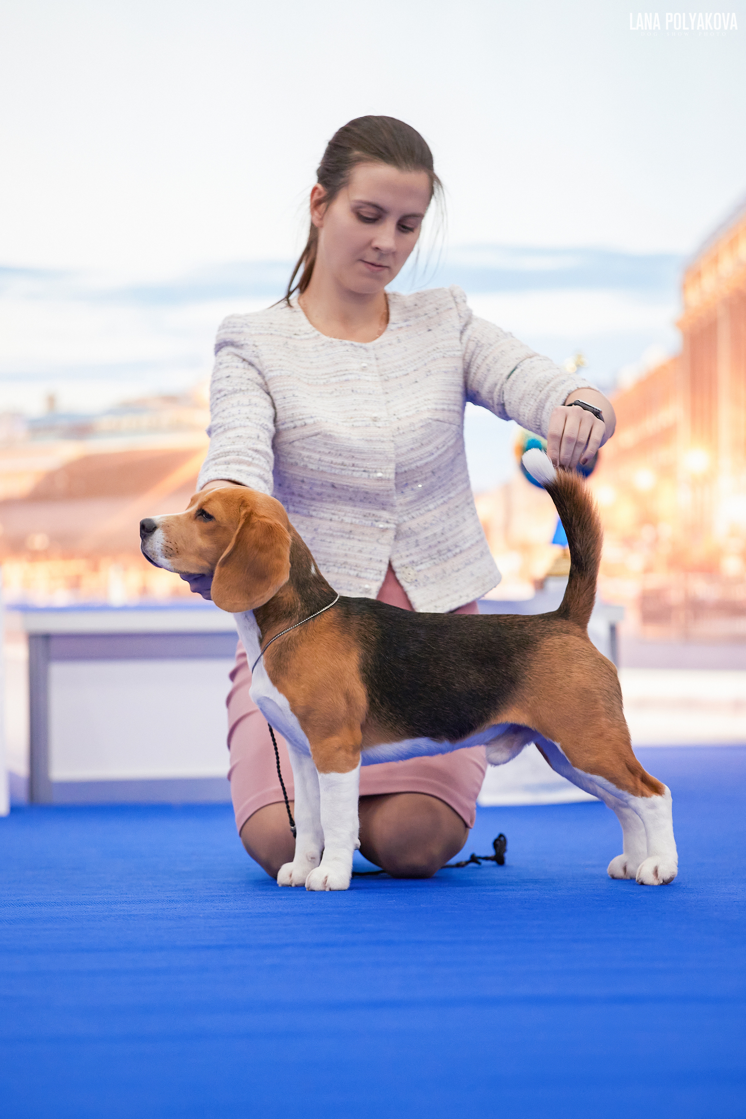 IDS «NEVSKY WINNER-2021» and «MEMORIAL OF P.A.ZAVODCHIKOV-2021». ФОТОГРАФ-АНИМАЛИСТ l LANA POLYAKOVA