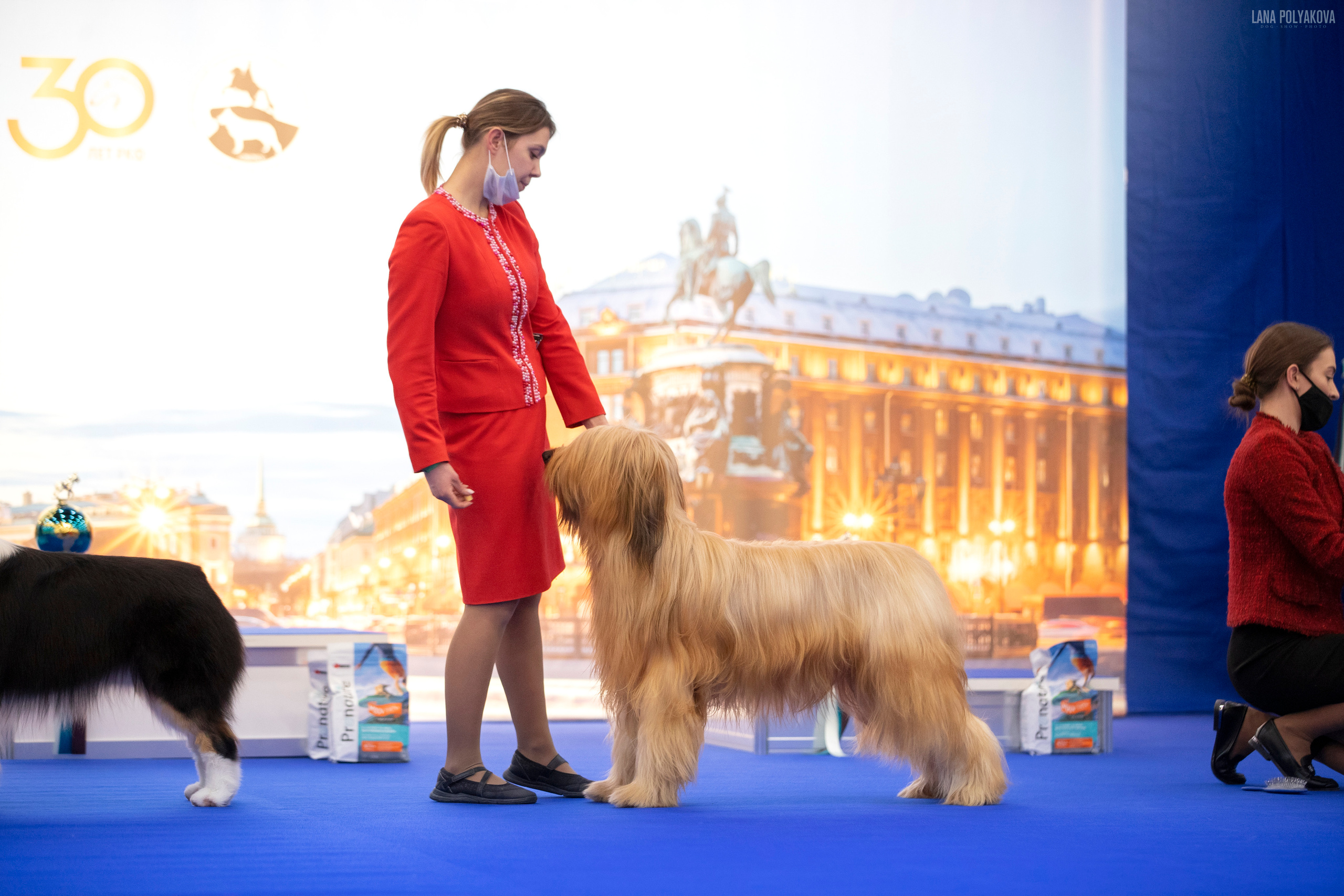IDS «NEVSKY WINNER-2021» and «MEMORIAL OF P.A.ZAVODCHIKOV-2021». ФОТОГРАФ-АНИМАЛИСТ l LANA POLYAKOVA