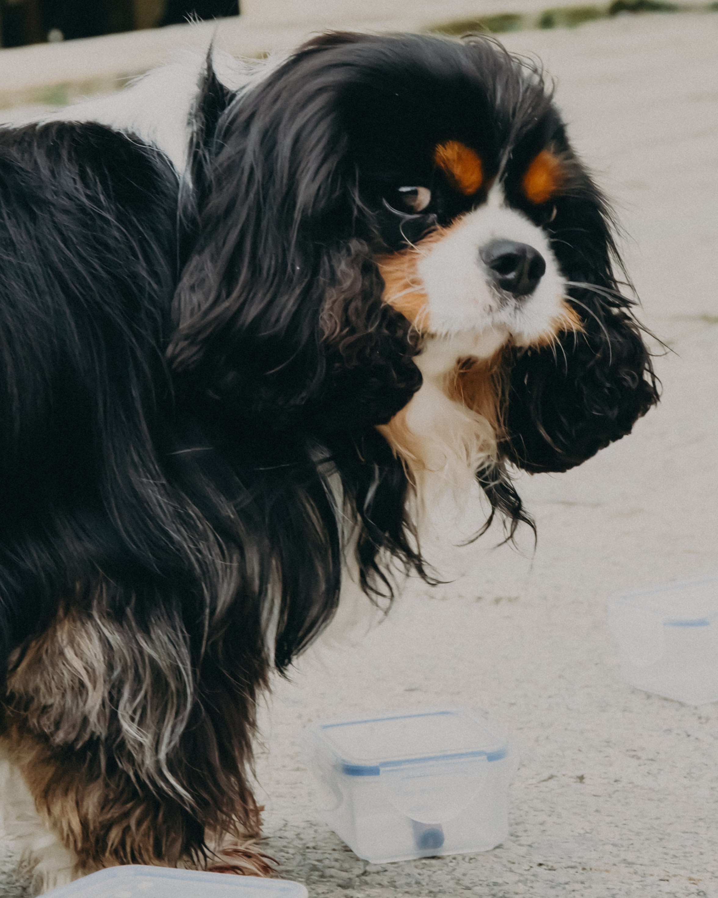 Гилдин. Портретный фотограф Ванинен Анастасия. Санкт-Петербург