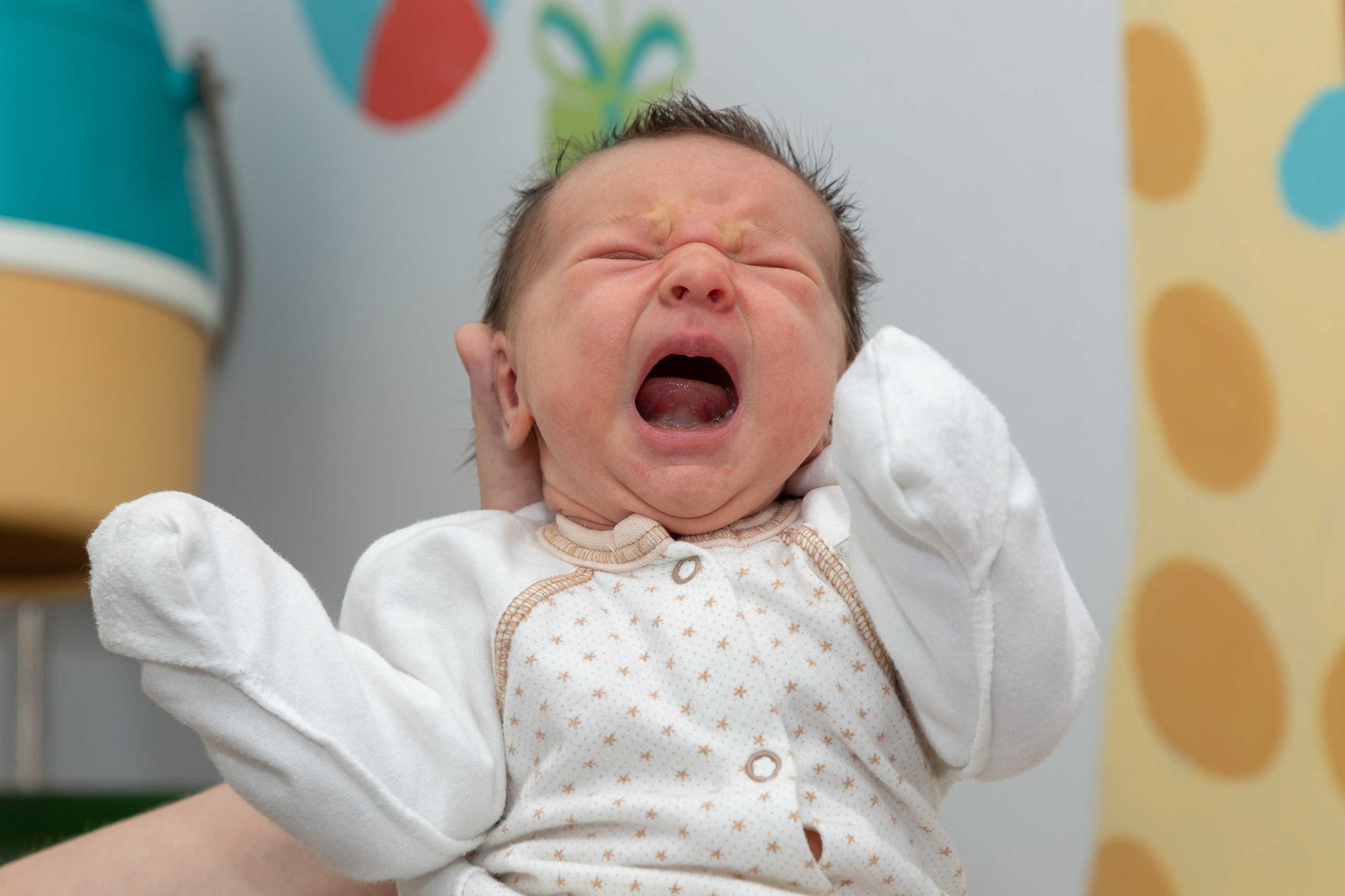 Выписка из роддома. Свадебный, семейный, школьный Фотограф и видеограф Худаноговы Александр и Ирина г. Зеленогорск, Красноярск