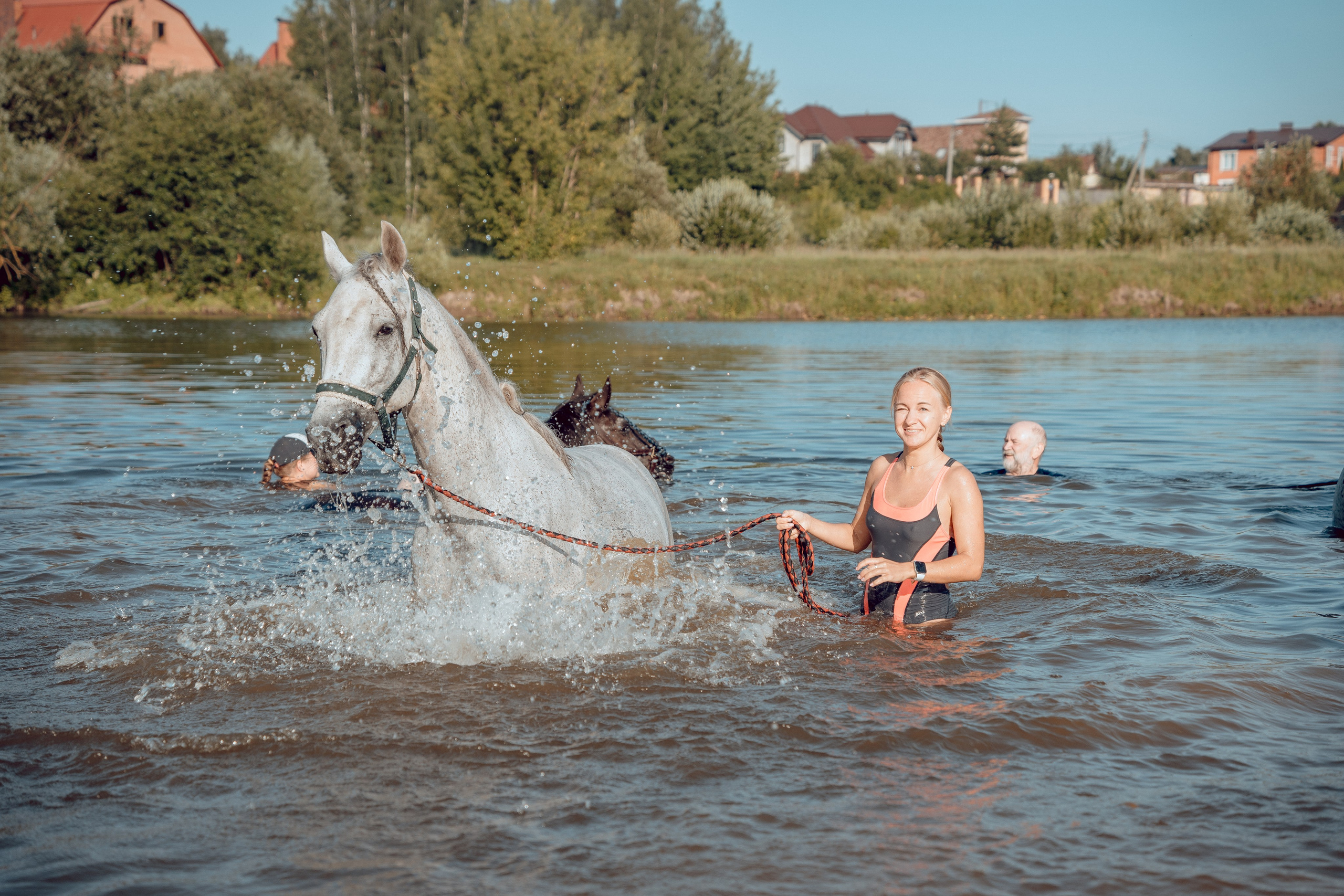 Купание лошадей 05.07.2024. Портретный и семейный фотограф в Москве/Видное