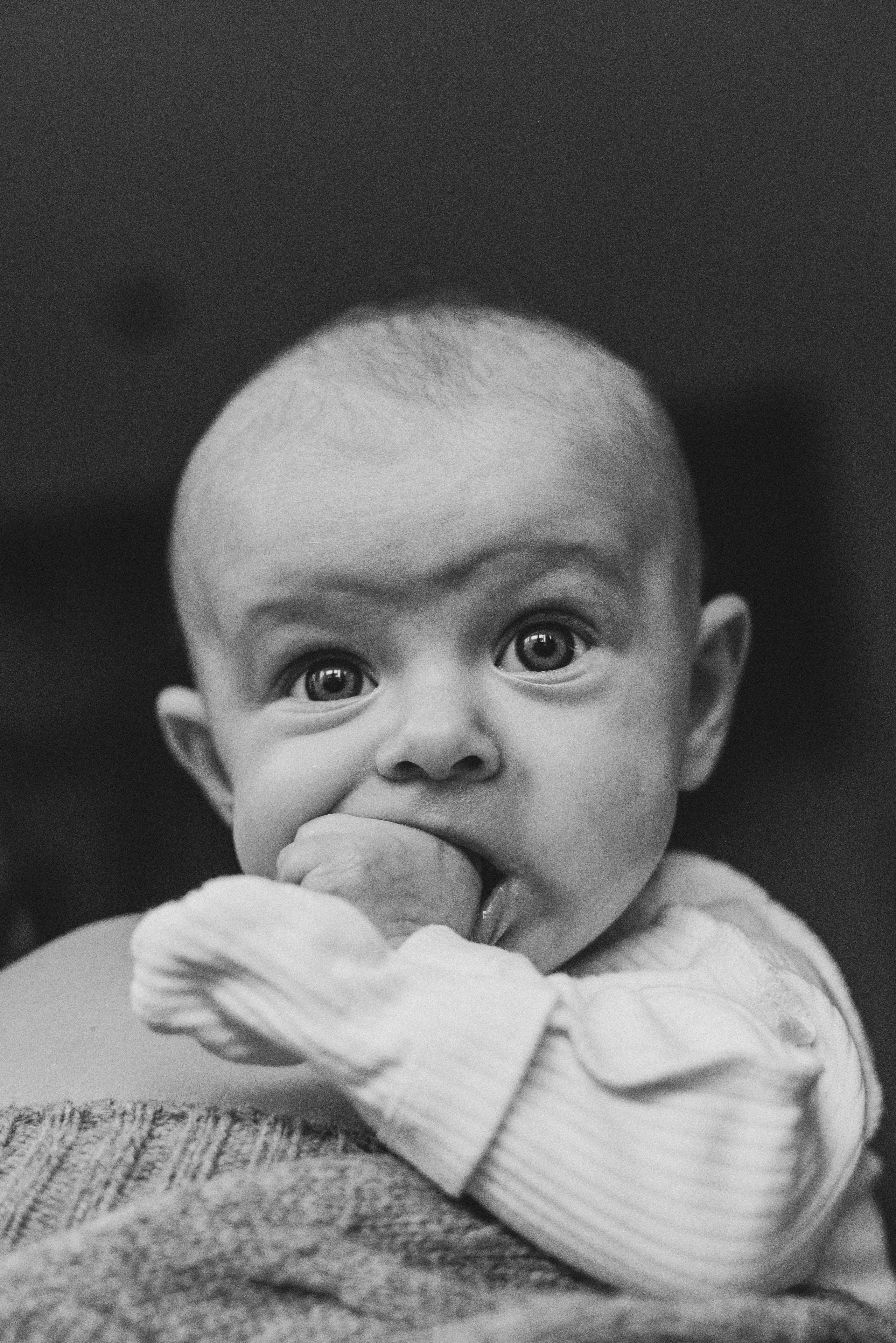 Zarina & Leah. Natalia Finch Photography — Family, Kids & Pet Photographer in Chicago, IL