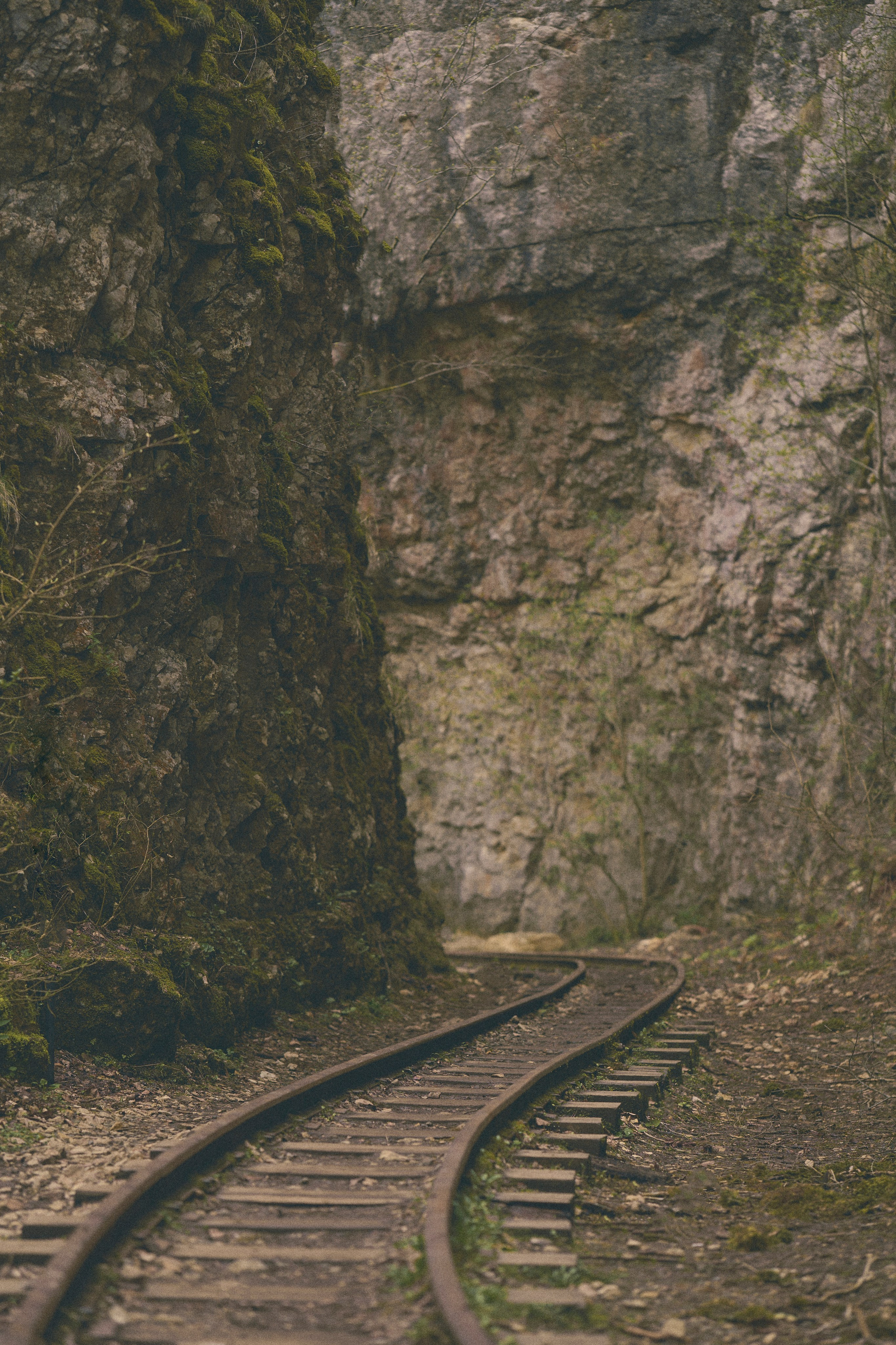 Krasnodar. Гасанова Алина|Фотограф в Санкт-Петербурге