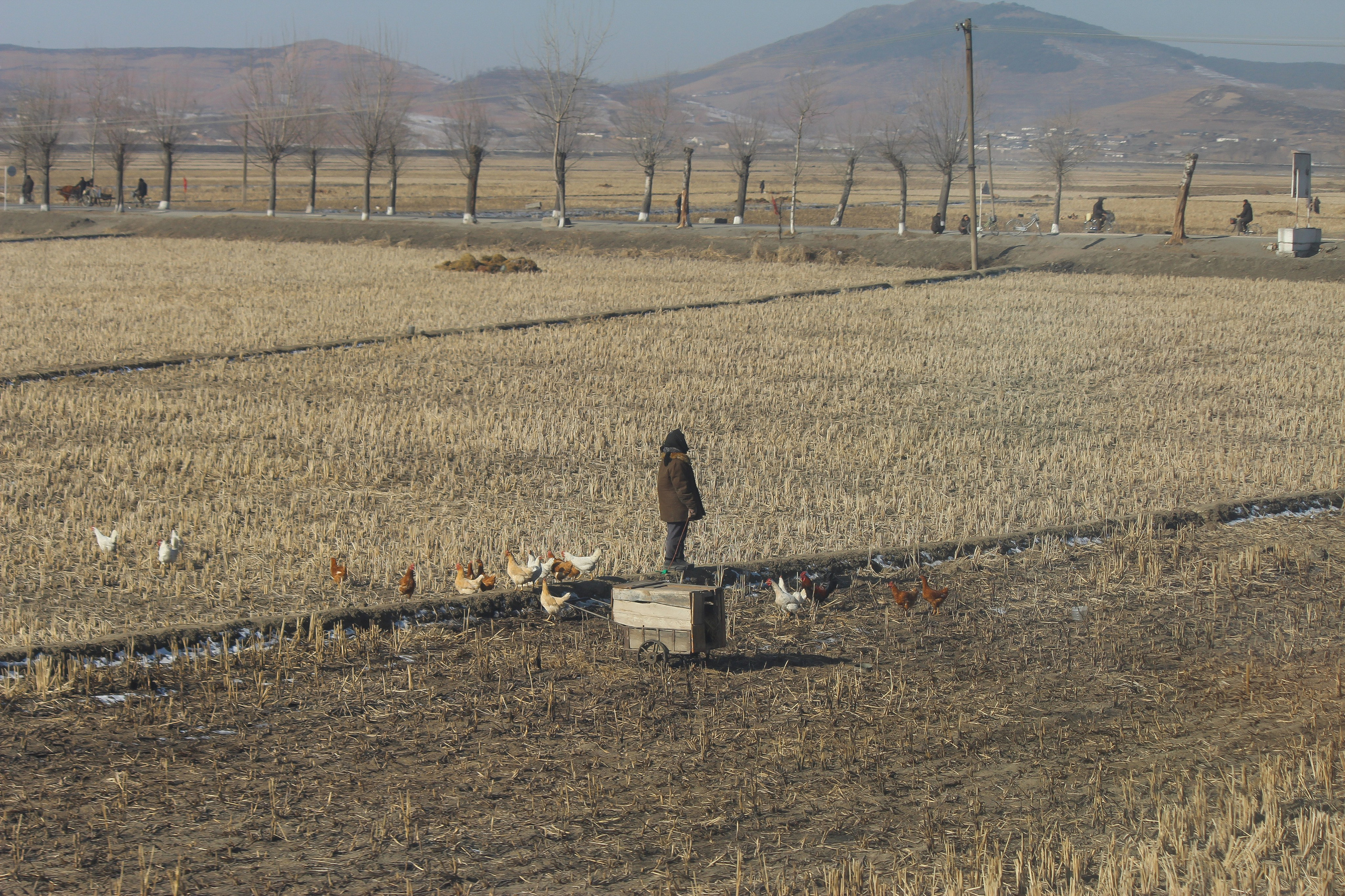 North Korea — ordinary life of ordinary people. 2019. Семейный и детский фотограф в Буэнос-Айресе Перевозчикова Анна Fotógrafa de familia y niños en Buenos Aires Perevozchikova Anna