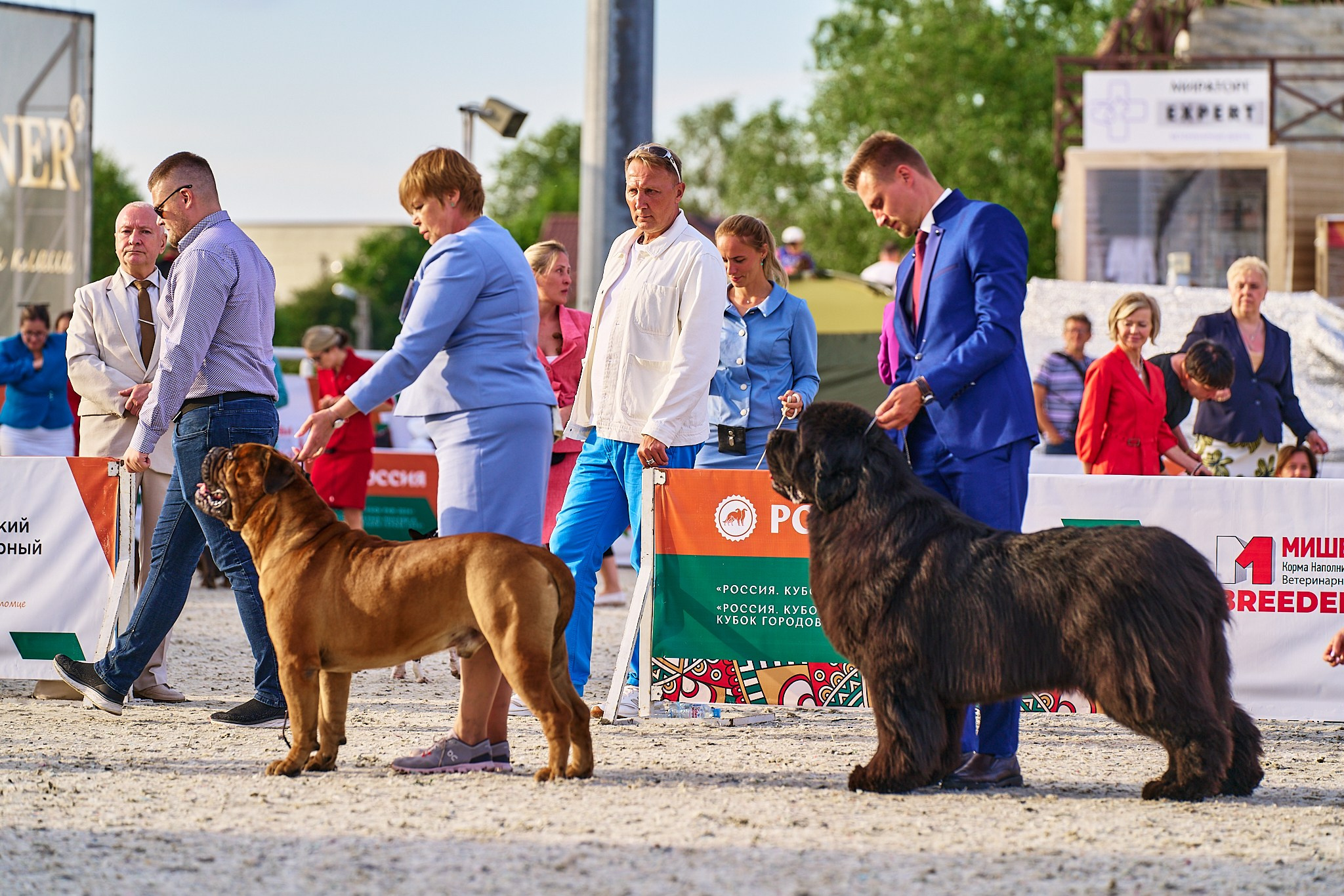 08.06.2024 «РОССИЯ. КУБОК РКФ 2024»