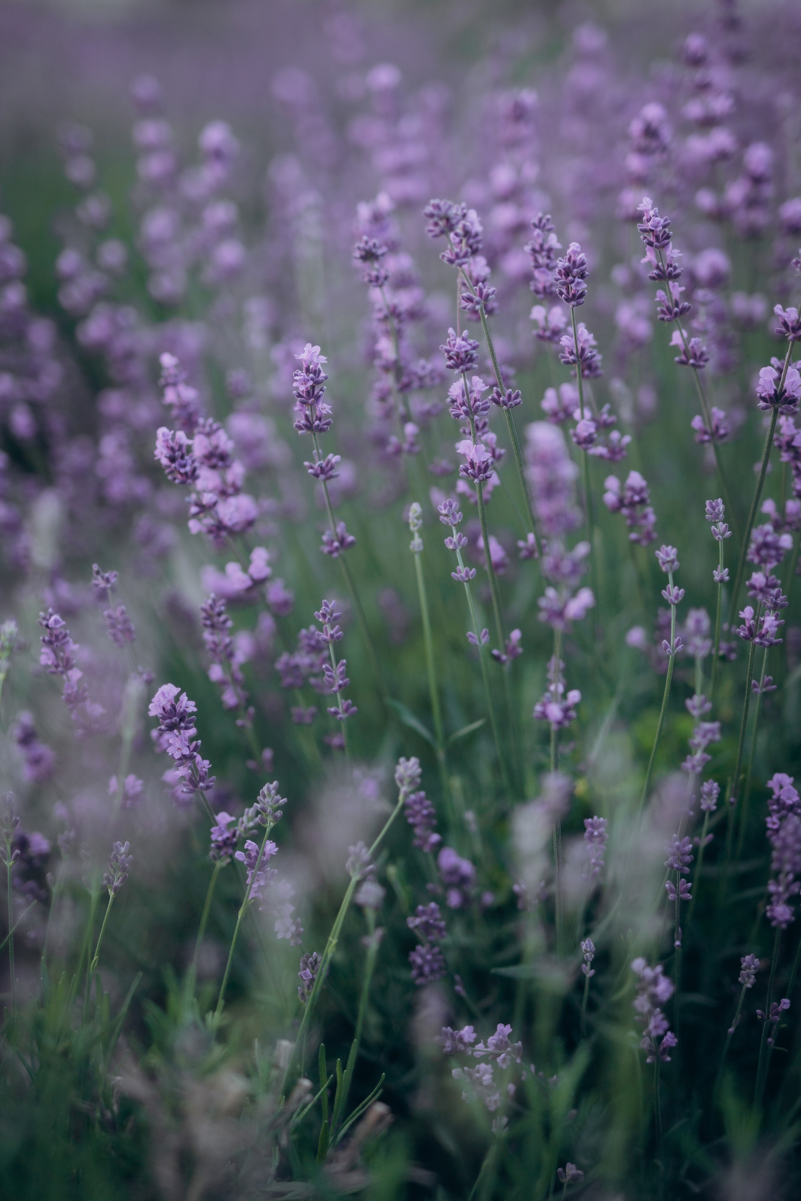 Мероприятие Redcrow. Фотограф в Алматы Чалова Нафиса
