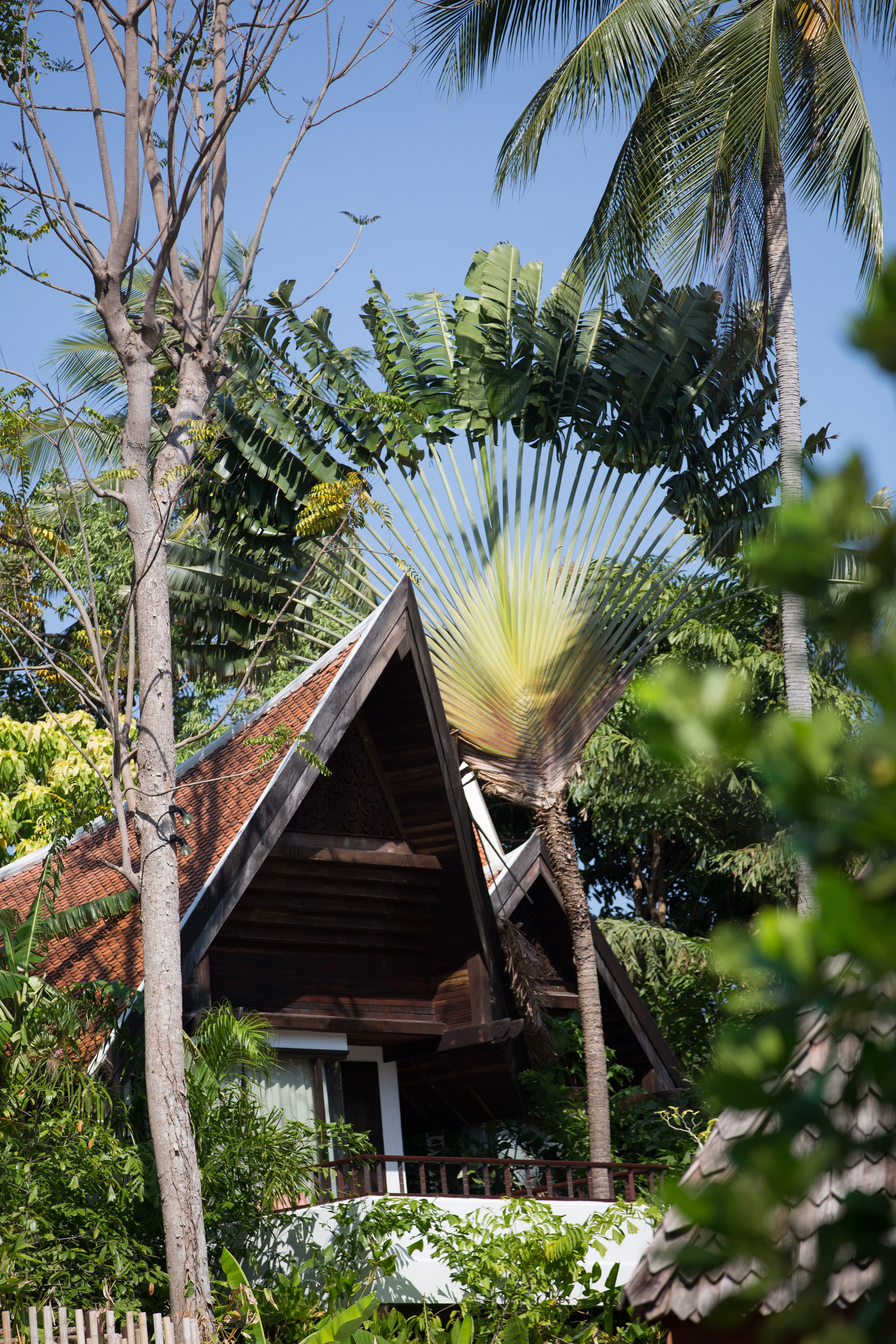 Фото Тайланда. Студия Максима Белослюдцева