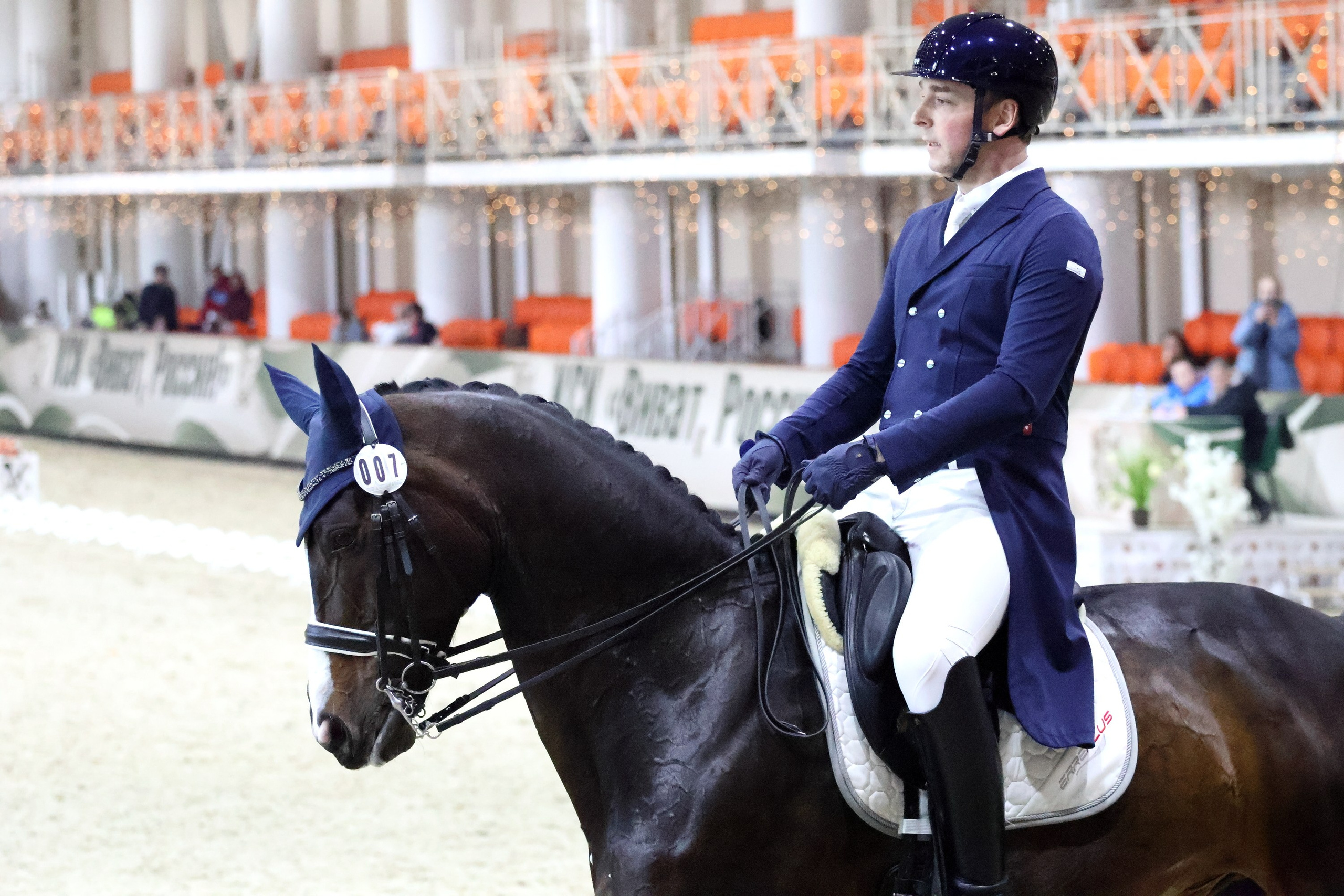 Соревнования по выездке КСК «Виват, Россия!». Спортивный и репортажный фотограф Ермакова Светлана