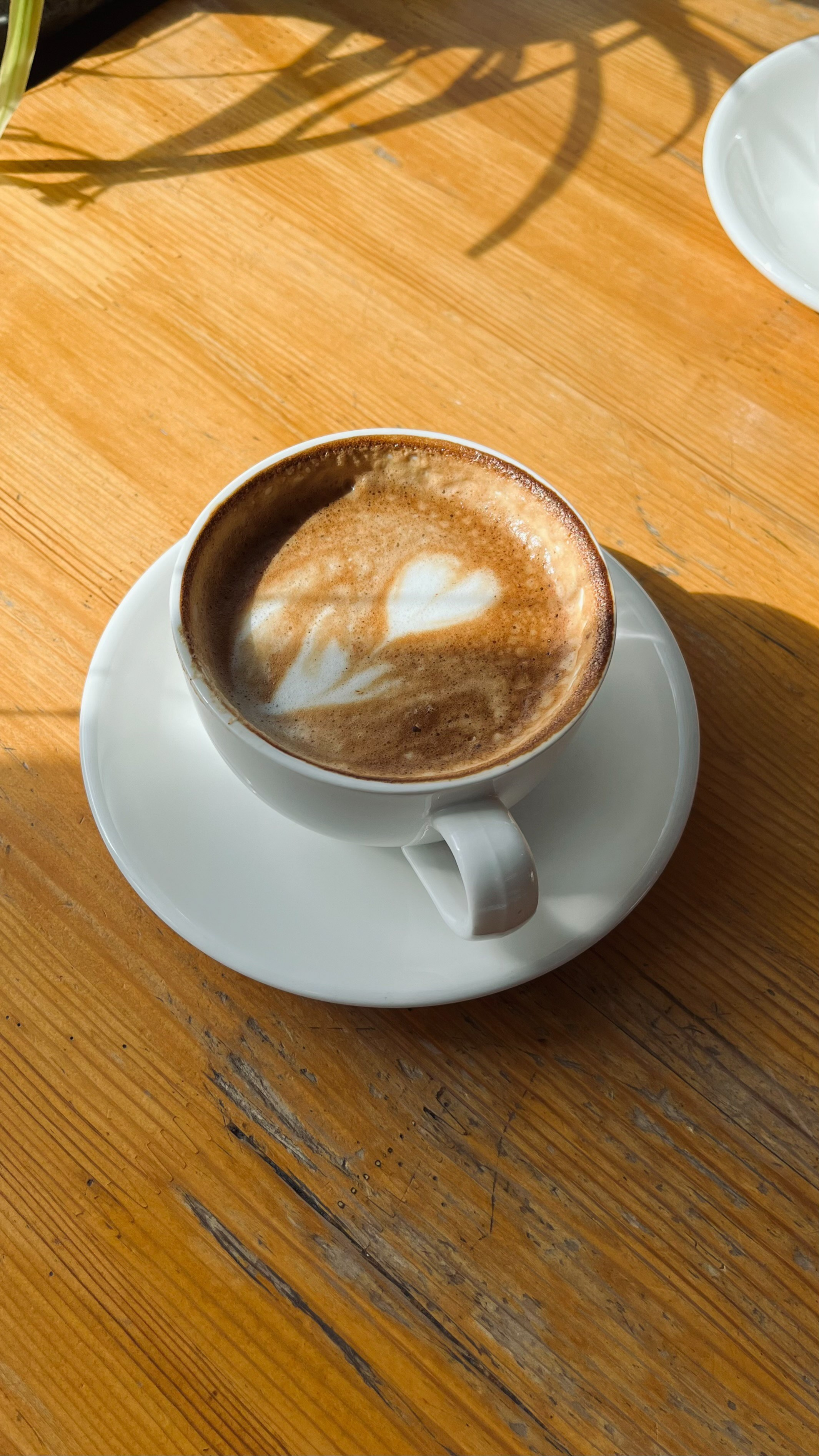 Все, что вокруг меня. Фотограф Евгения Ошкина, Саранск