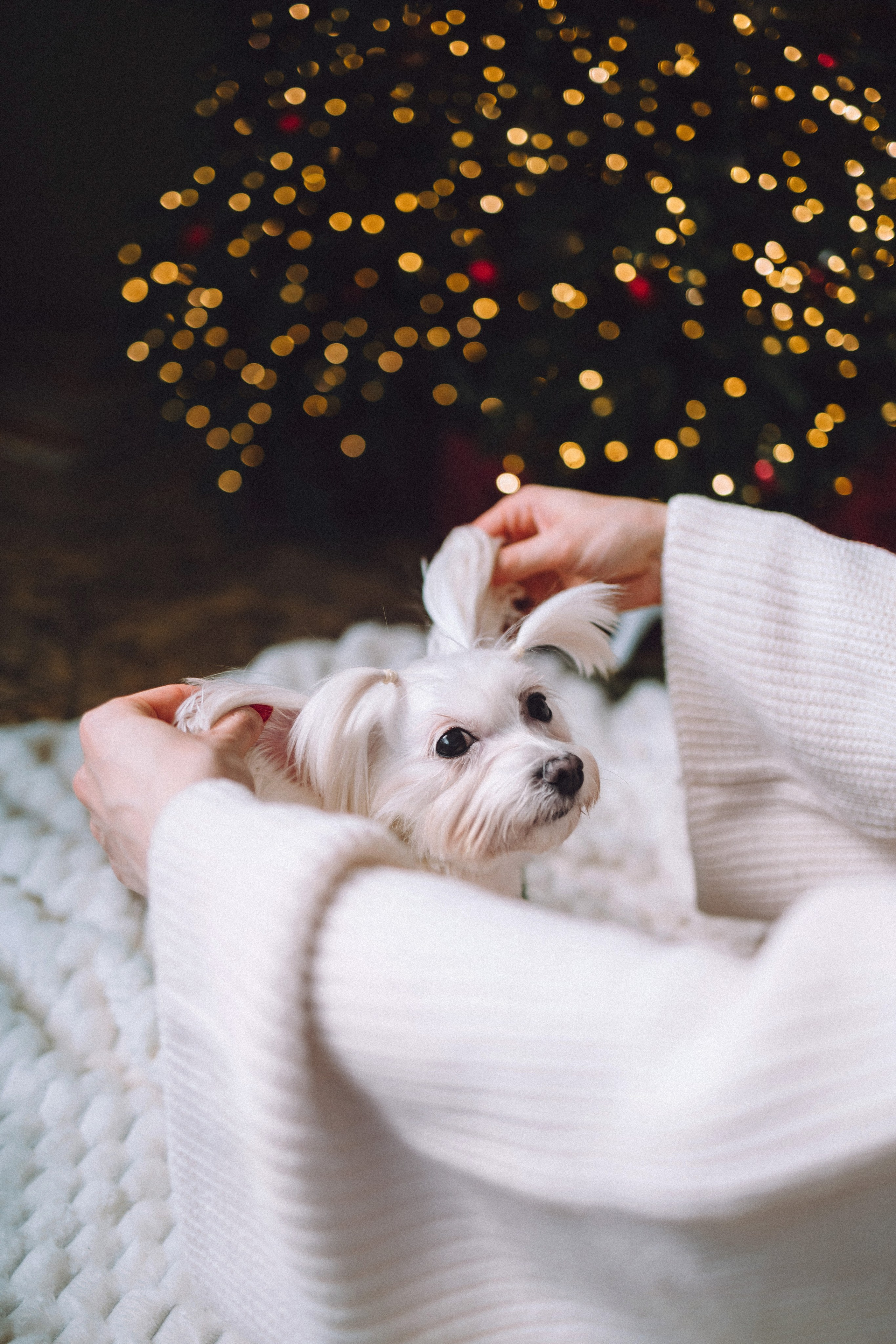 Констанция и Молли