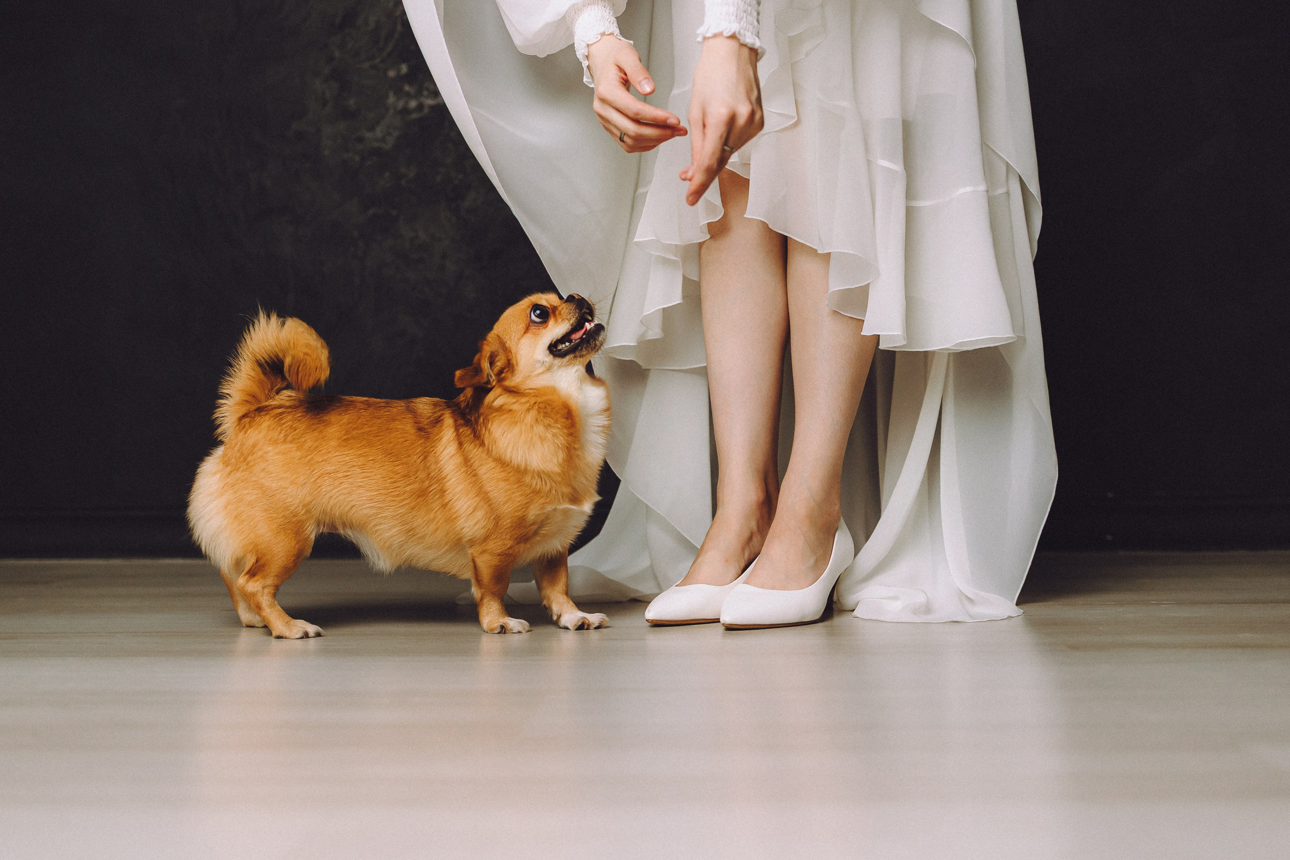 Денис, Василина, Гаврюша и Кнопка