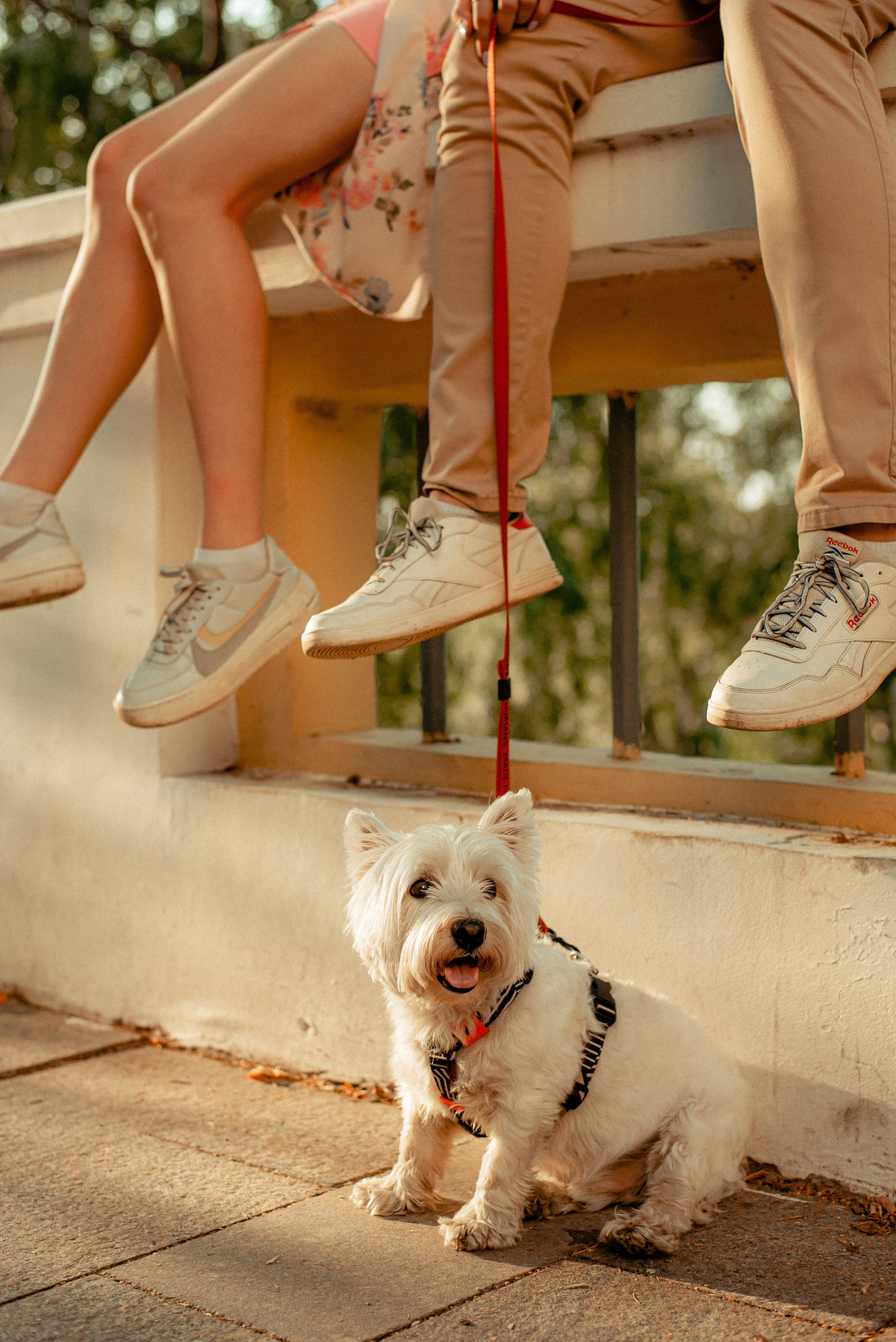 Семен, Валя и Цукат, Нижний Новгород. Семейный и детский фотограф Иваново Ксения Азаренкова