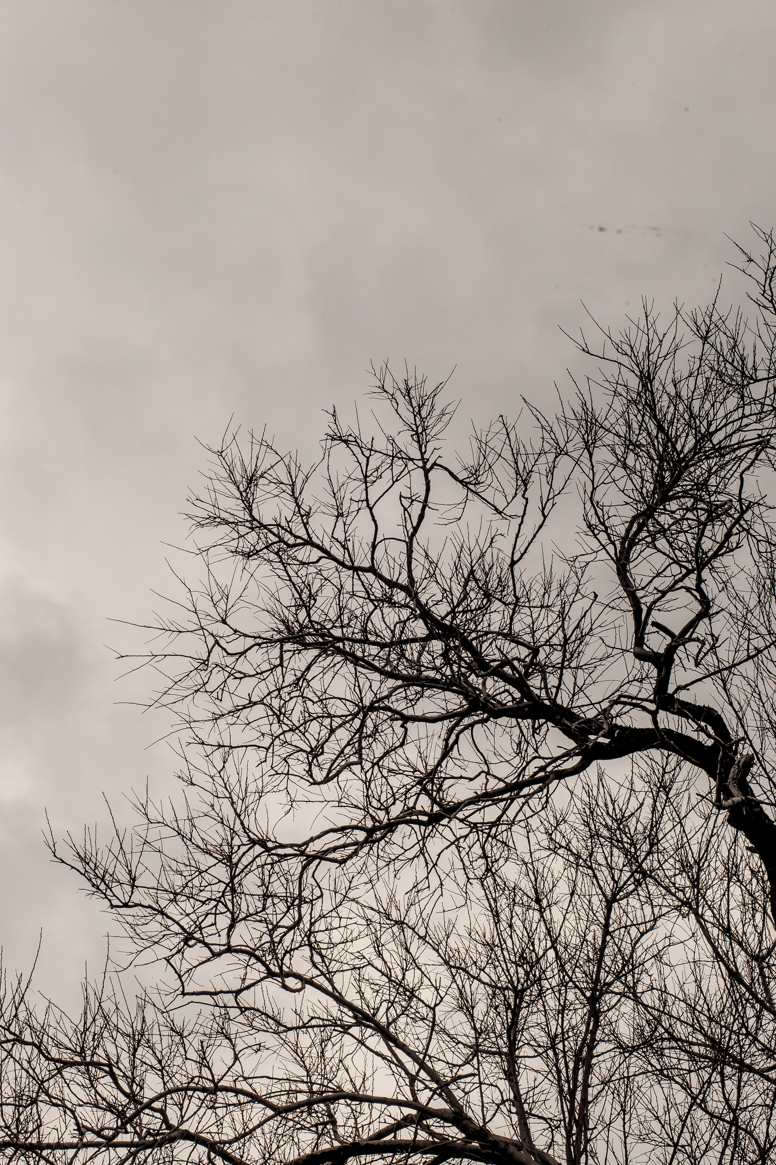 Turkey, Alanya. Art Photographer