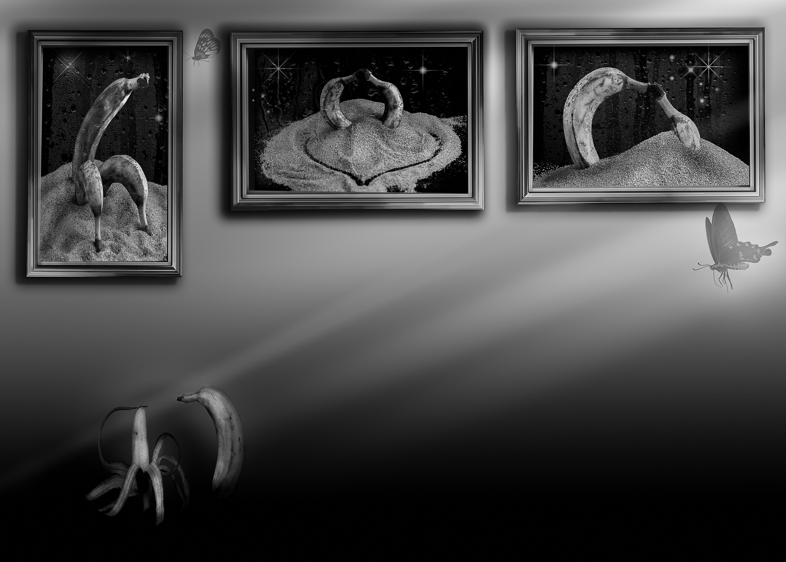 Банановая галлерея. Медиапродюсер, фотограф в Минеральных Водах —Виктор Холодов