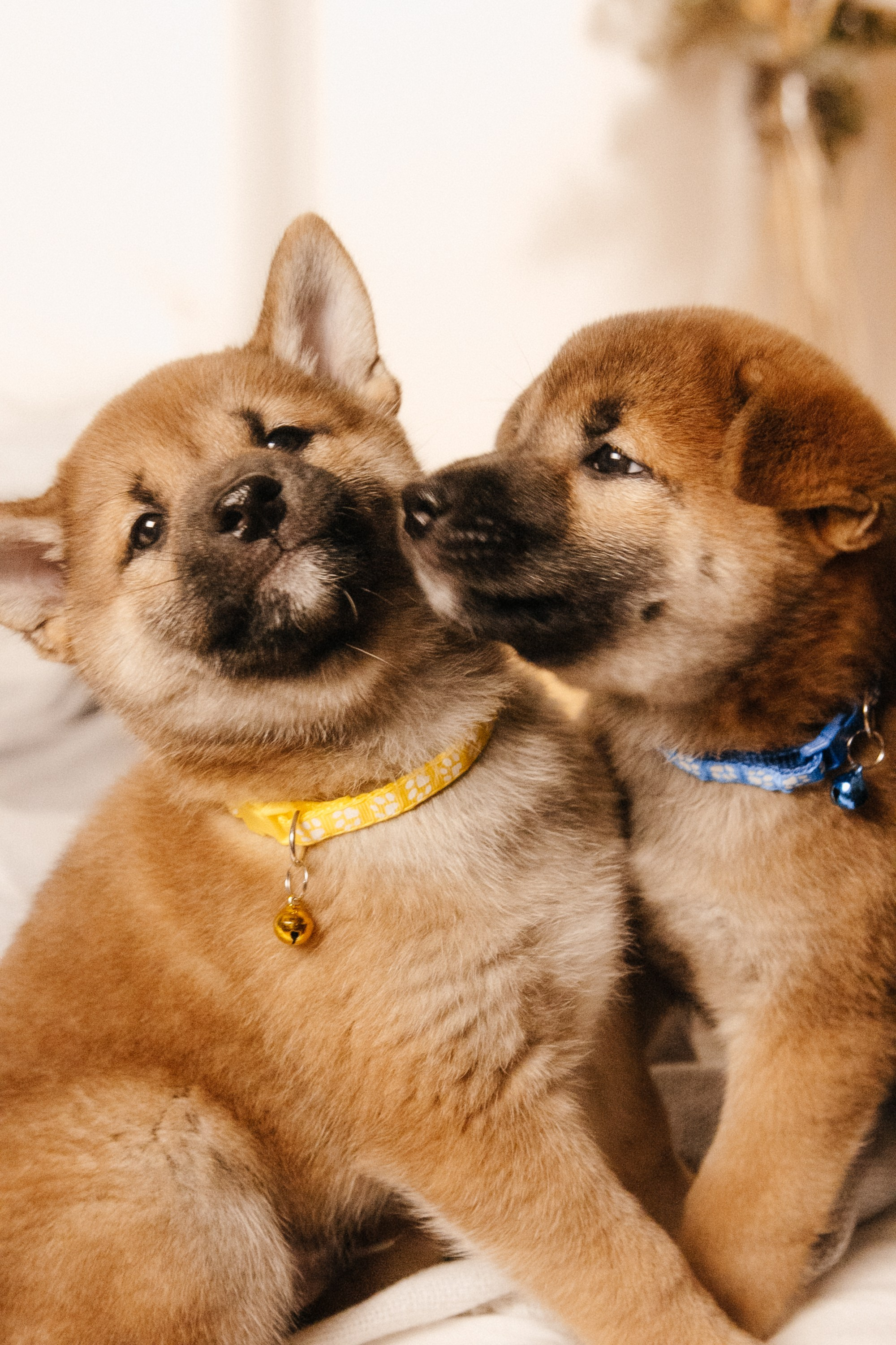 LOVE. Семейный фотограф Казань Никита Федин