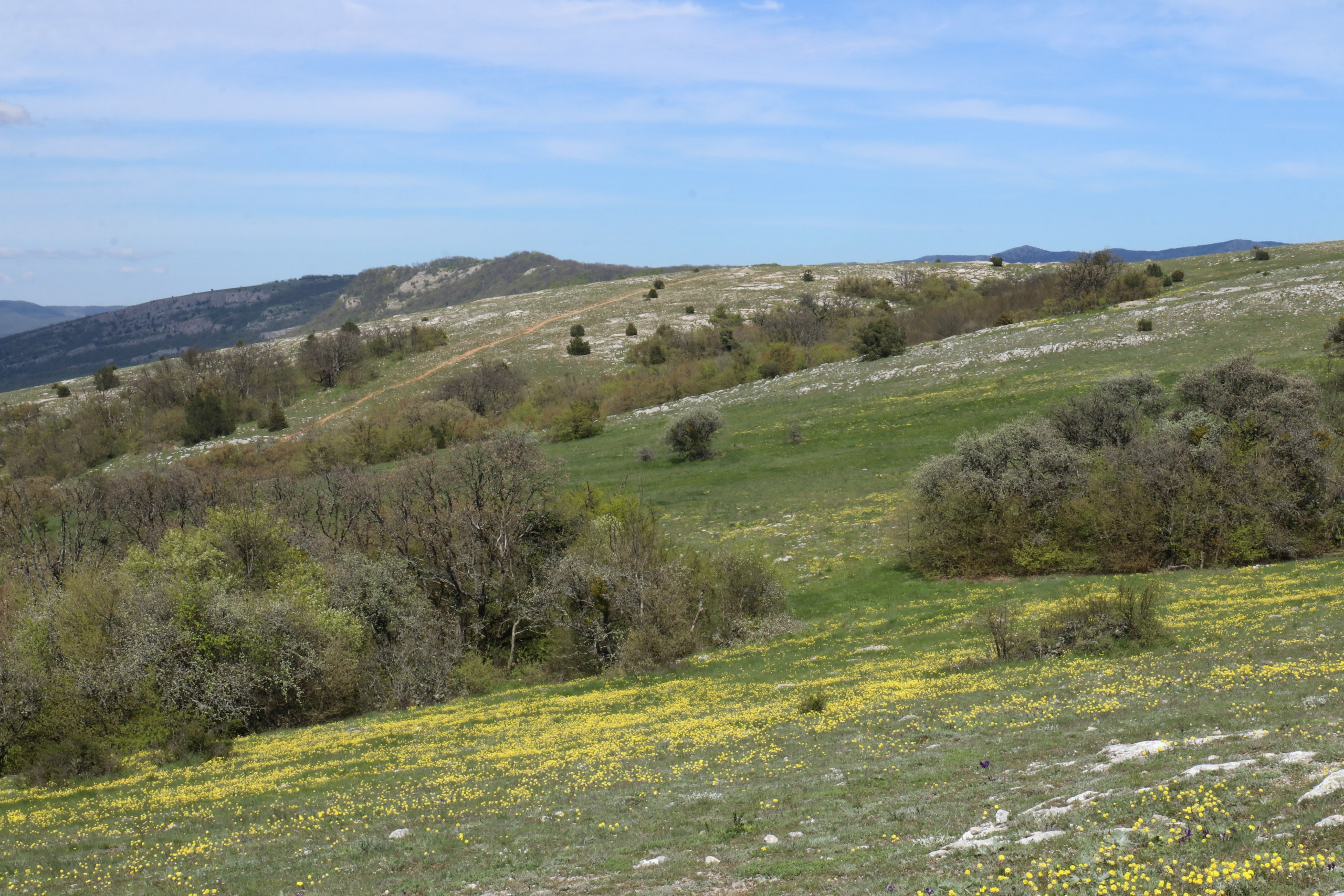 Крым. ЮБК (Севастополь, Кастрополь, Ялта). Май 2023. Путешественник-фотограф из Санкт-Петербурга Татьяна Свистулина