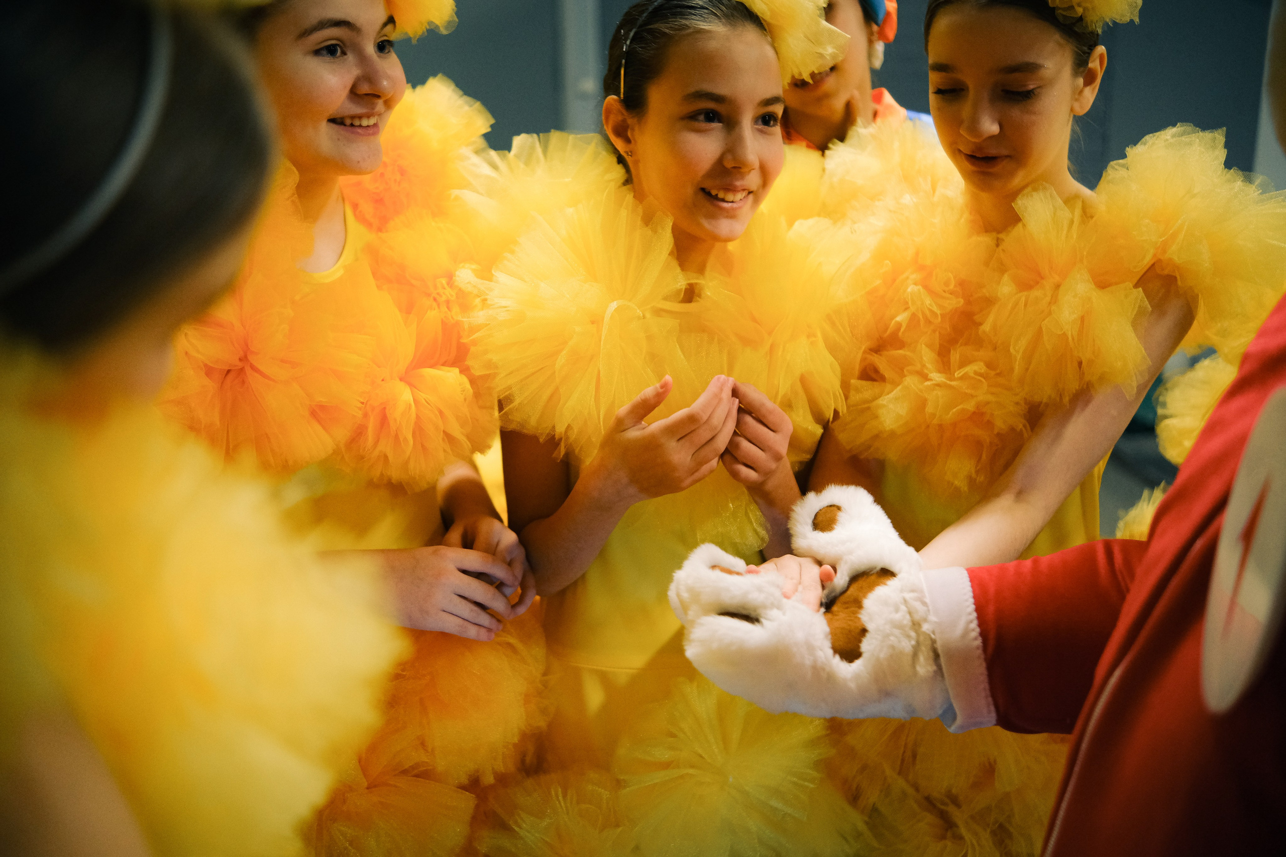 Республиканская ёлка. Обо мне