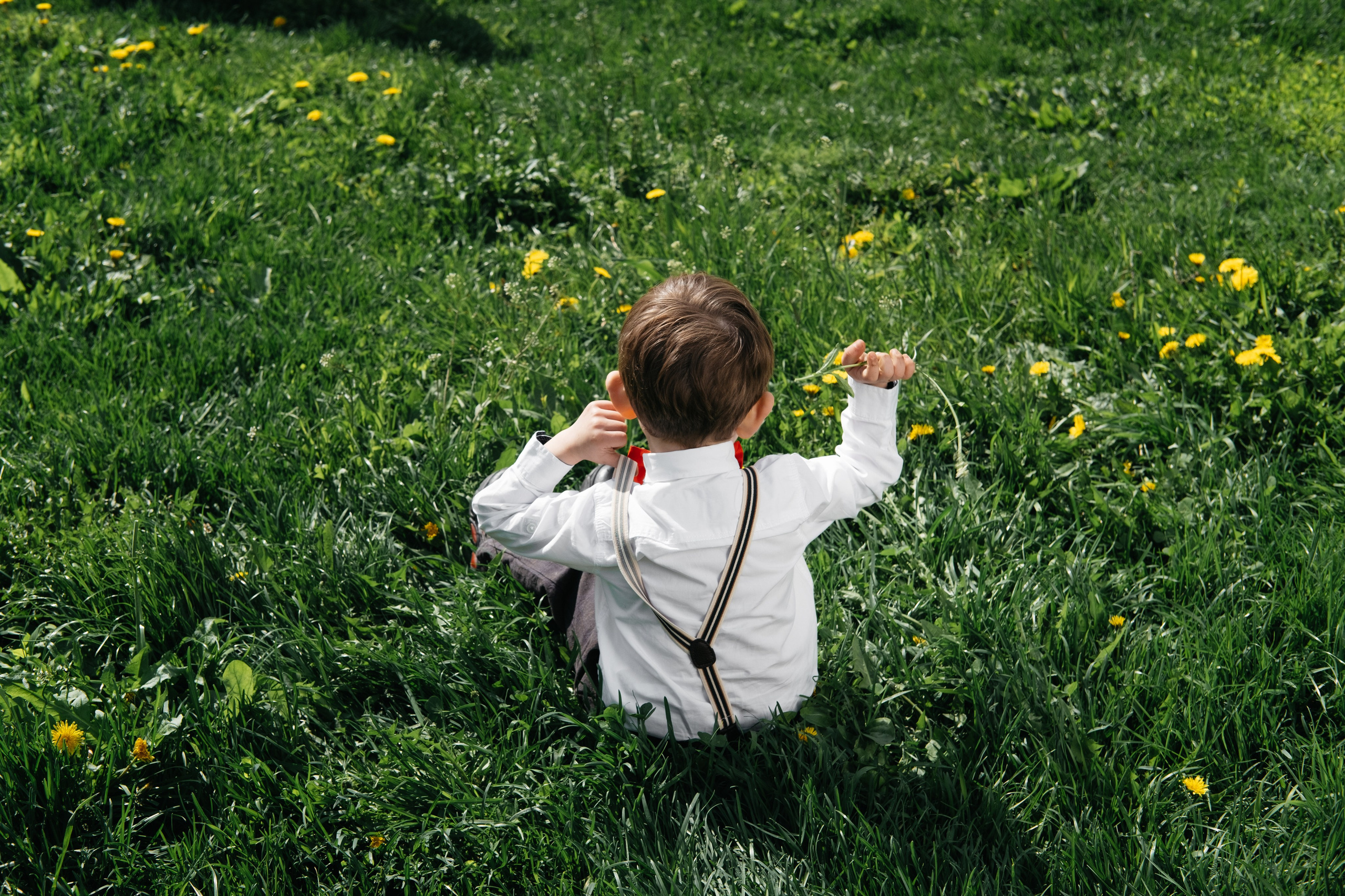 Афиши ПушкинФест. Обо мне