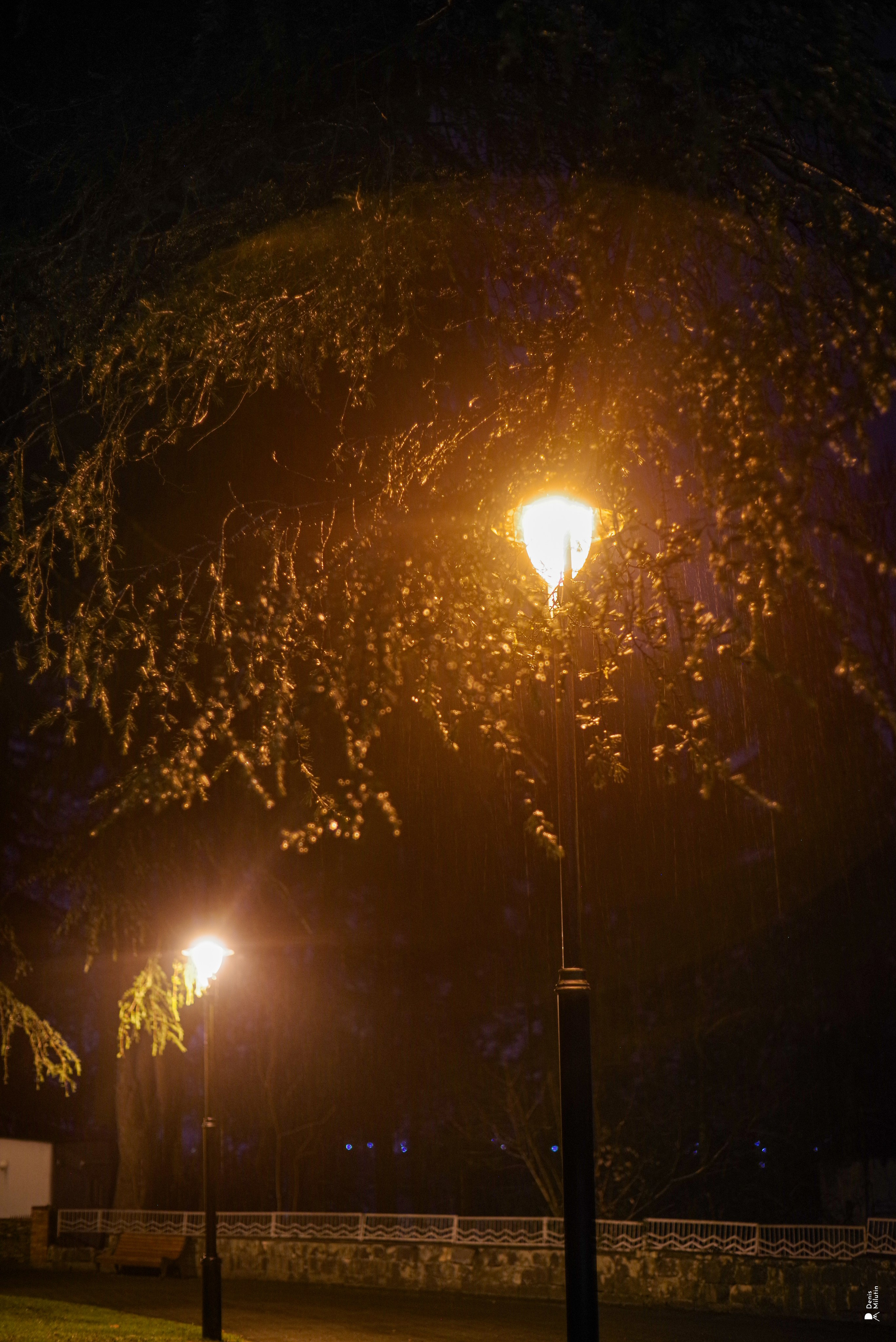 Зугдиди. Портретный фотограф Денис Милютин