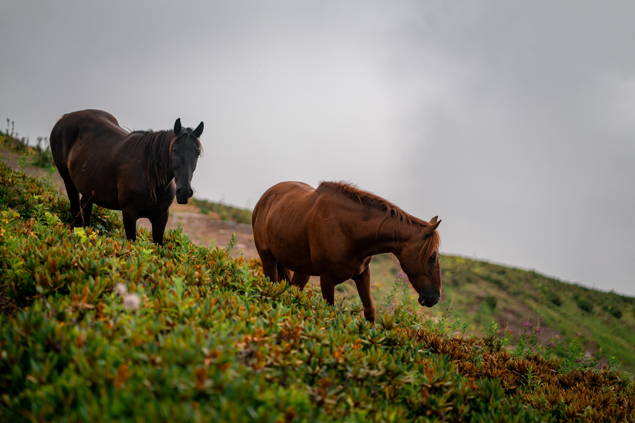 Сочи. Фотограф Александра Волкова | Волгоград