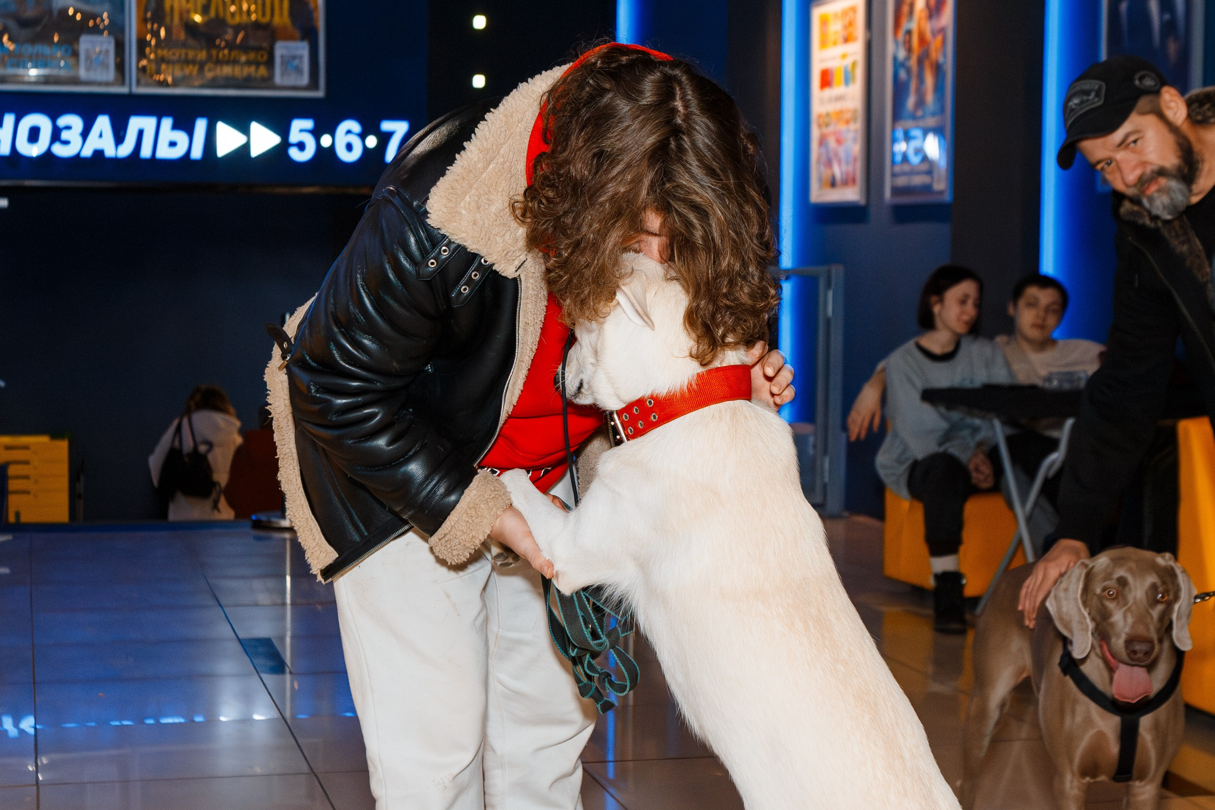 Dog-friendly киновечер от ФлагманВет. Ksenia de Rossi | Съемка в Самаре