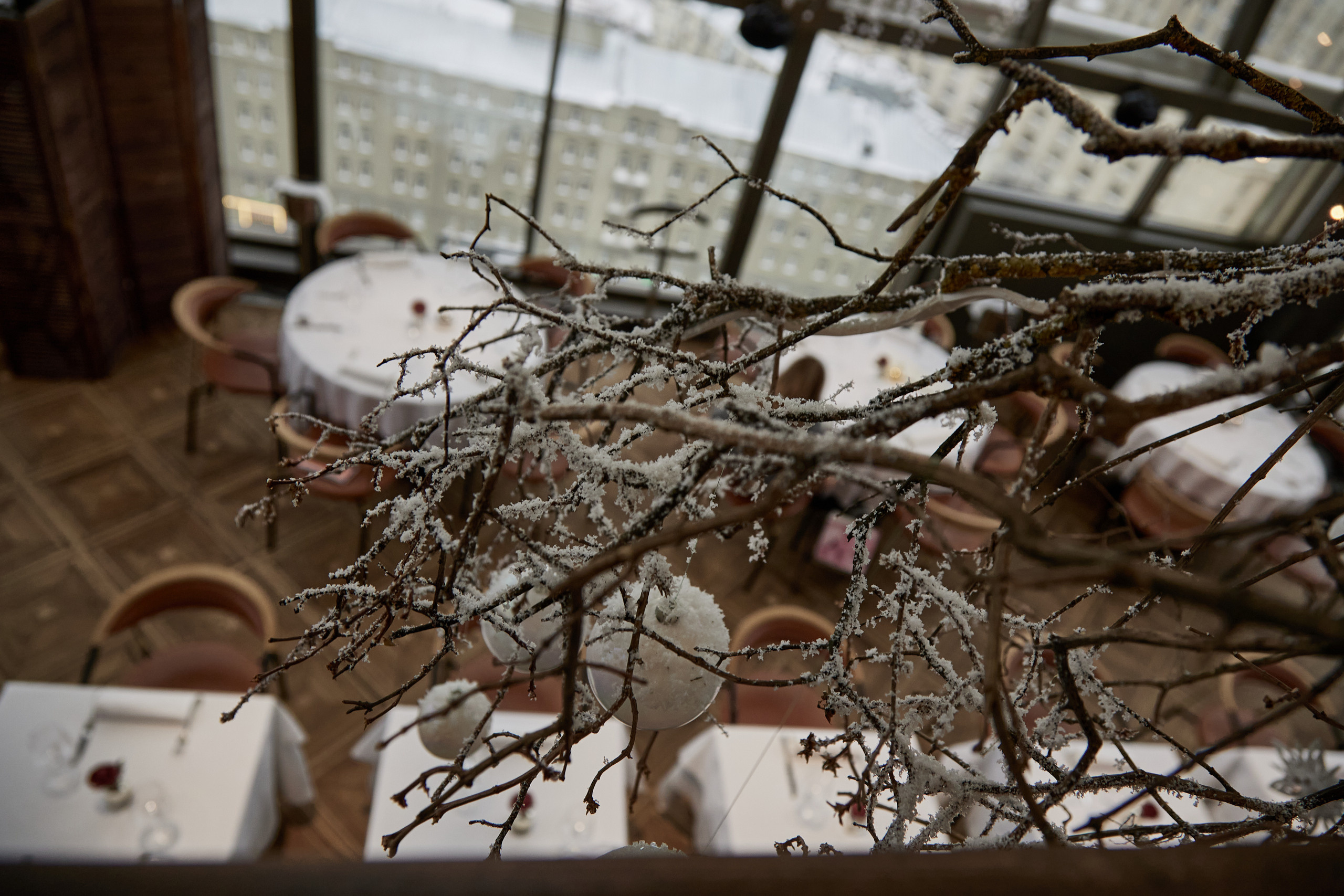 Testimonious. Maria Poleshchuk, commercial photographer in Sydney