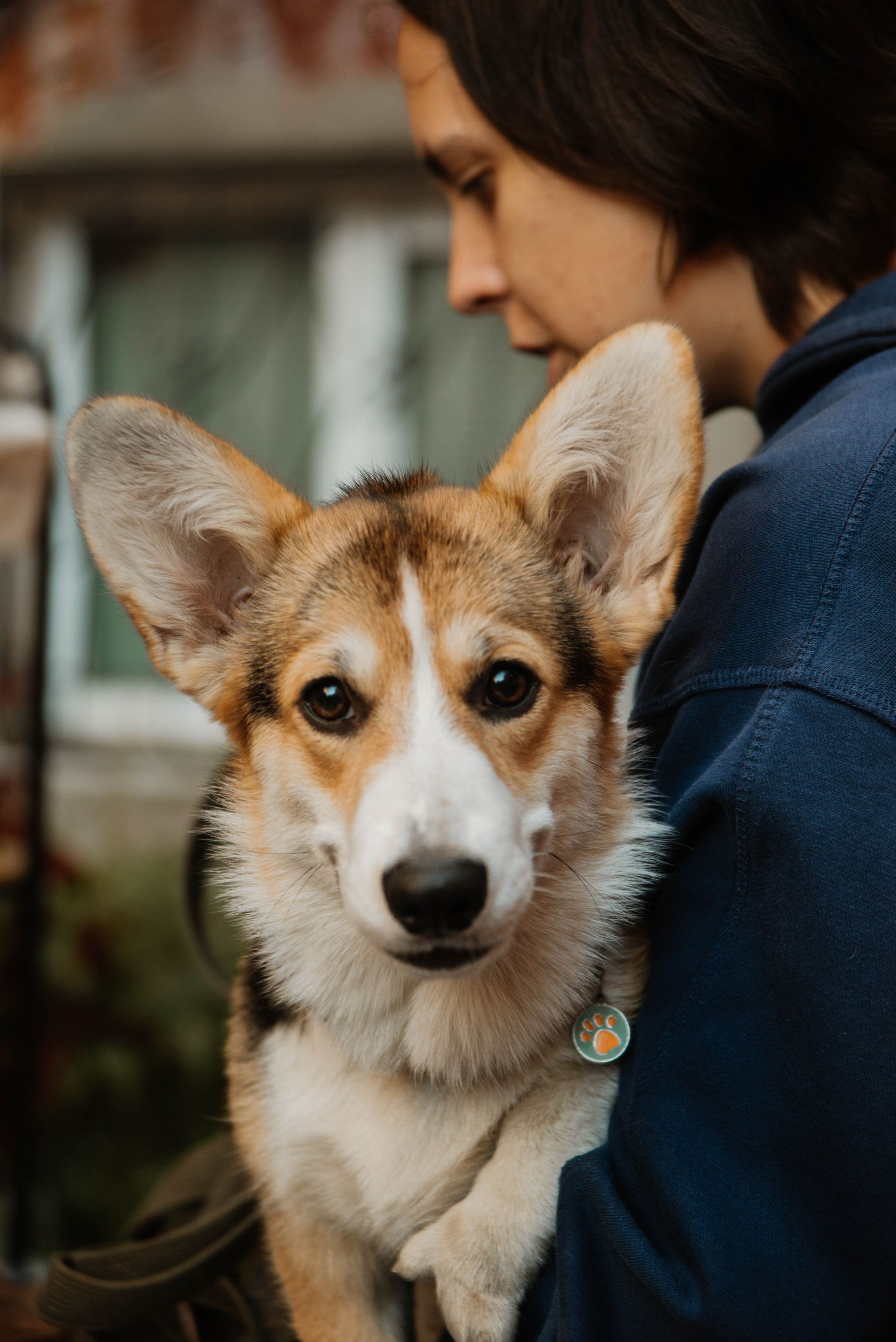Дог-вечеринка на летнике «Кутёж». Ксения Glossa. Портретный и репортажный фотограф в Самаре
