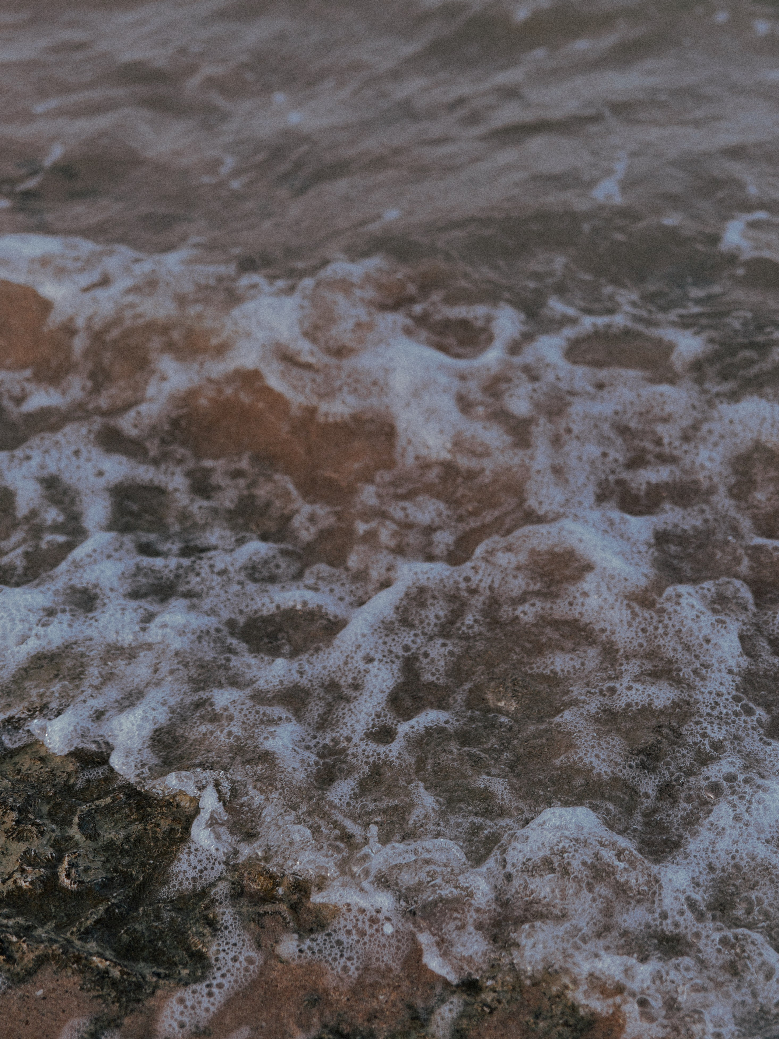 Природа. Jorgis Talè — photographer, kind person, teacher of arts and other mag