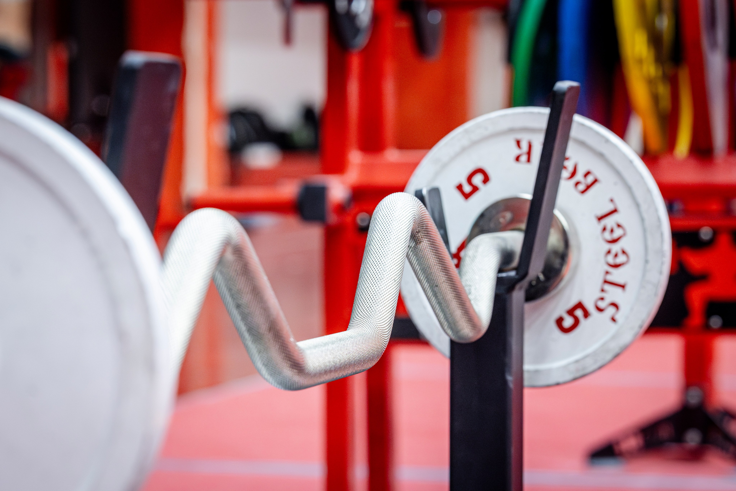 Национальный чемпионат по Пауэрлифтингу (2025). Bertran Ordo