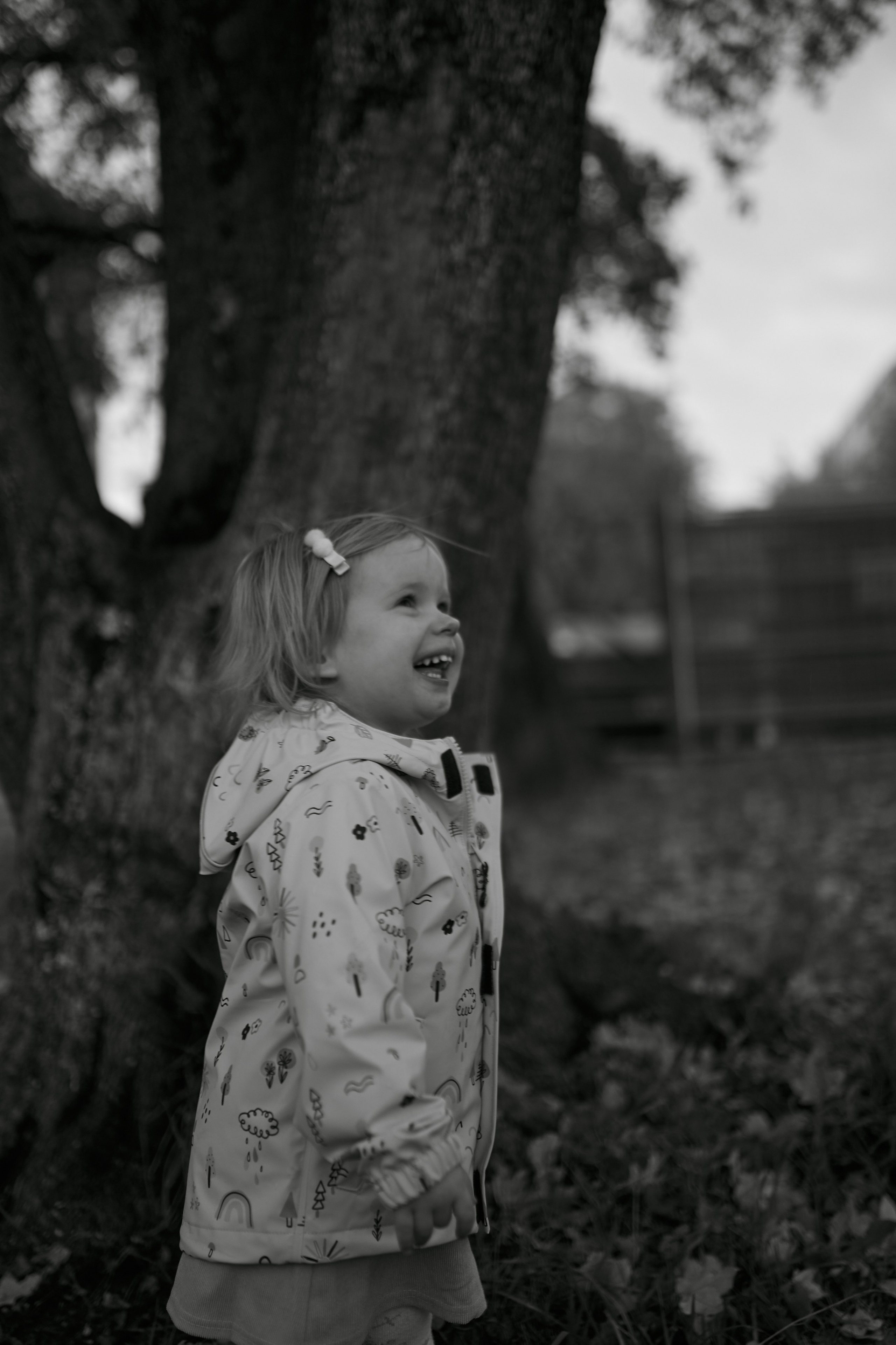 Осень в Цюрихе. Ваш душевный фотограф