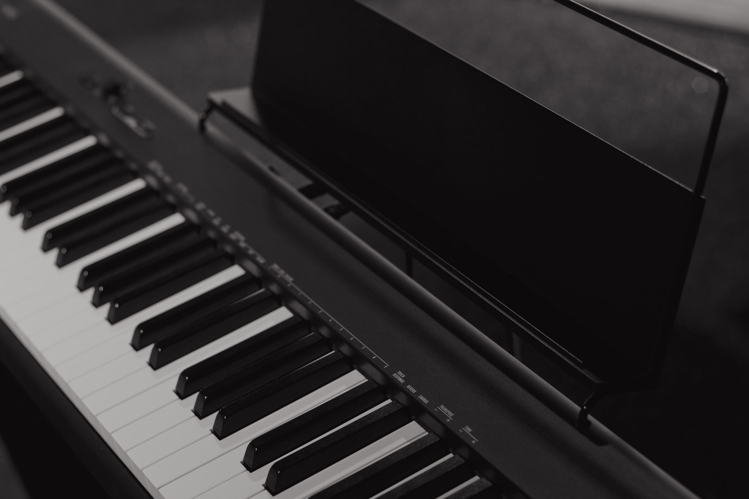 Отчетный концерт музыкальной школы. Фотограф Надршина Лилия