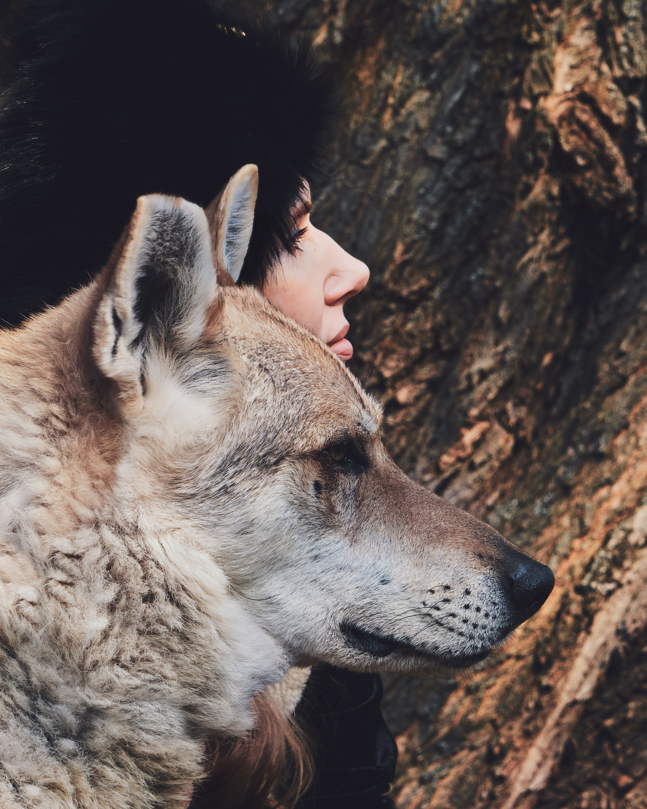 Фотосессии с животными. Портретный фотограф в Москве Виктория Колышева