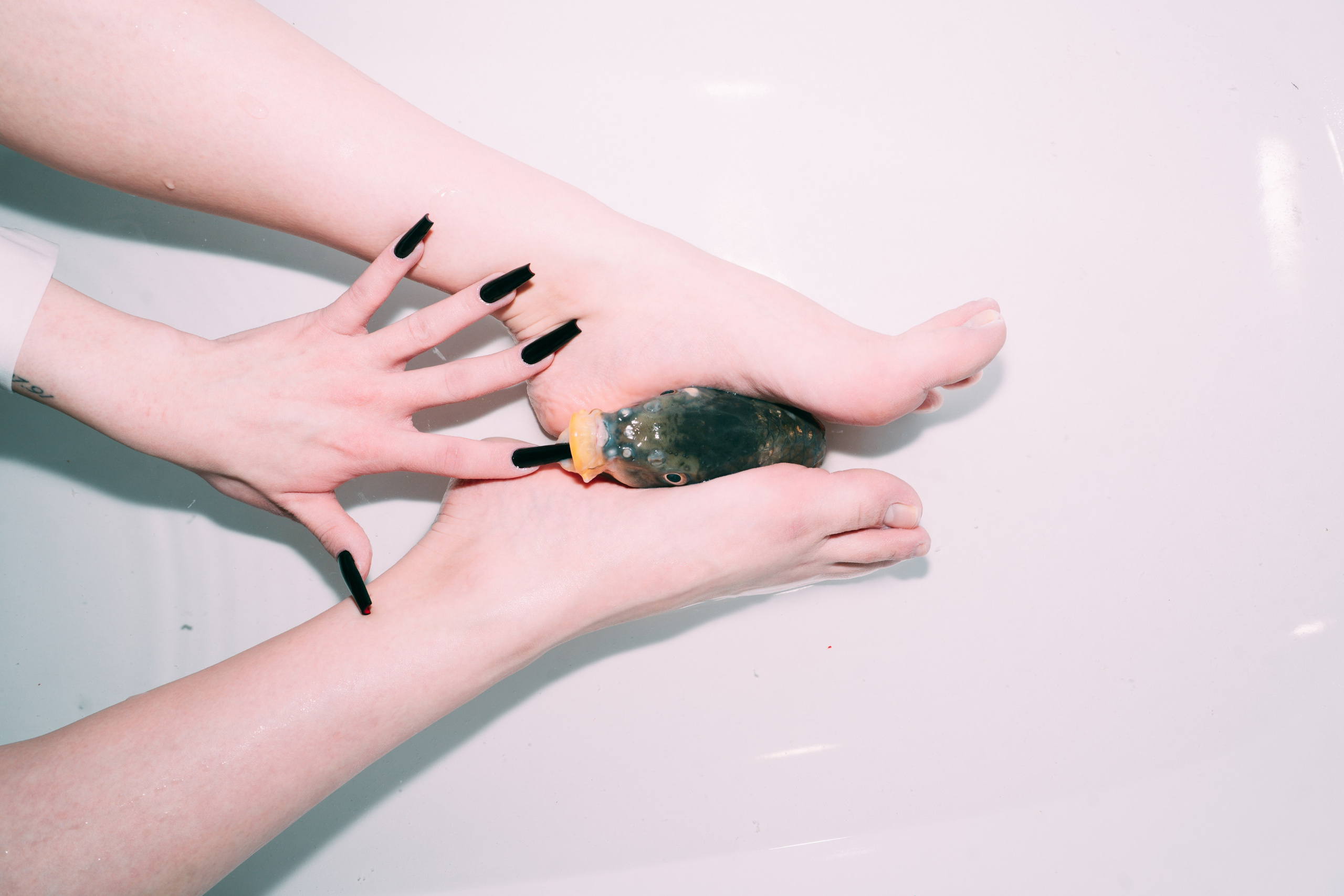 Carp Grisha. Sasha Speranskii — Conceptual Photographer | Based in Moscow