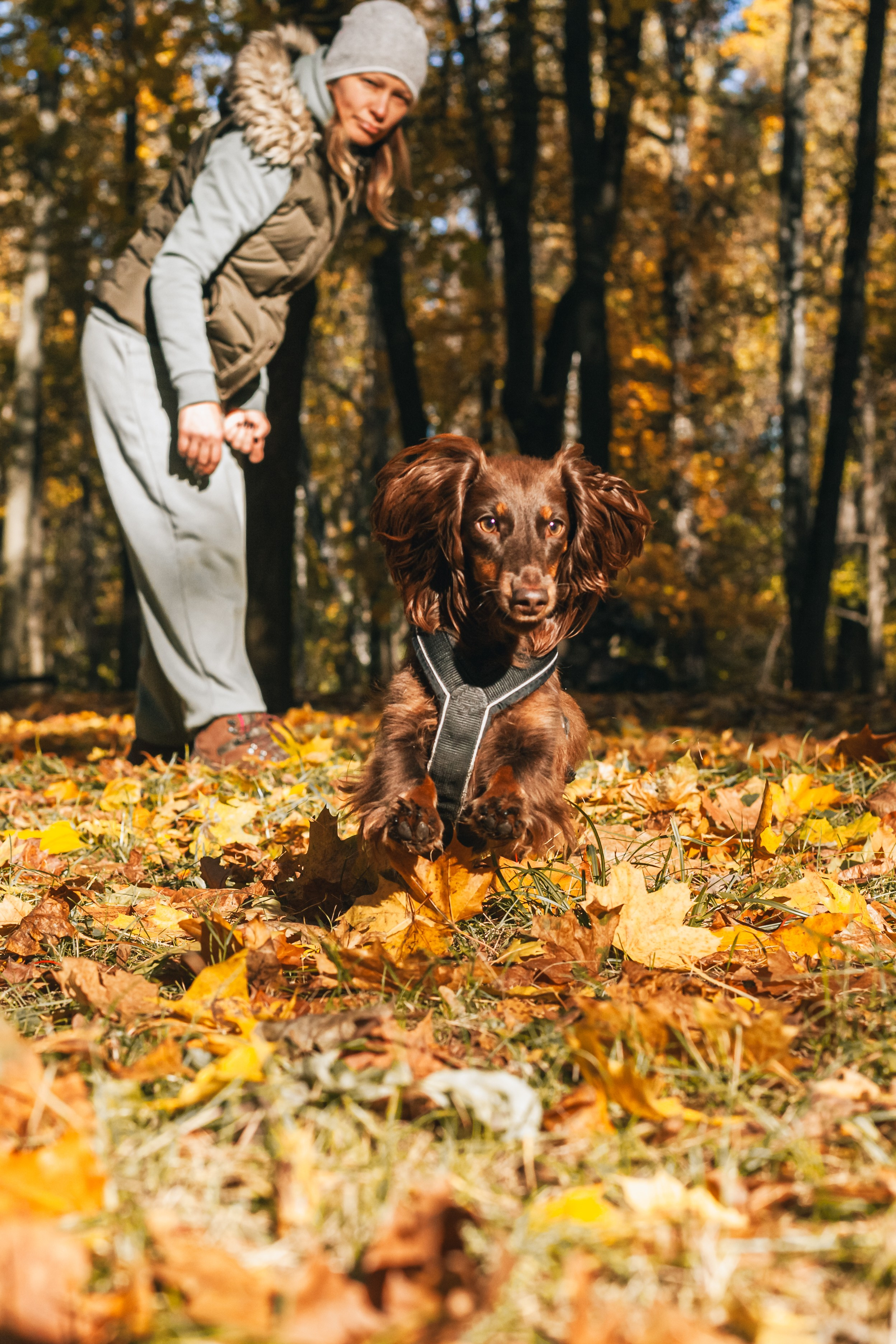 Света, Хайди, Богдана. Фотограф-анималист Татьяна Степанова