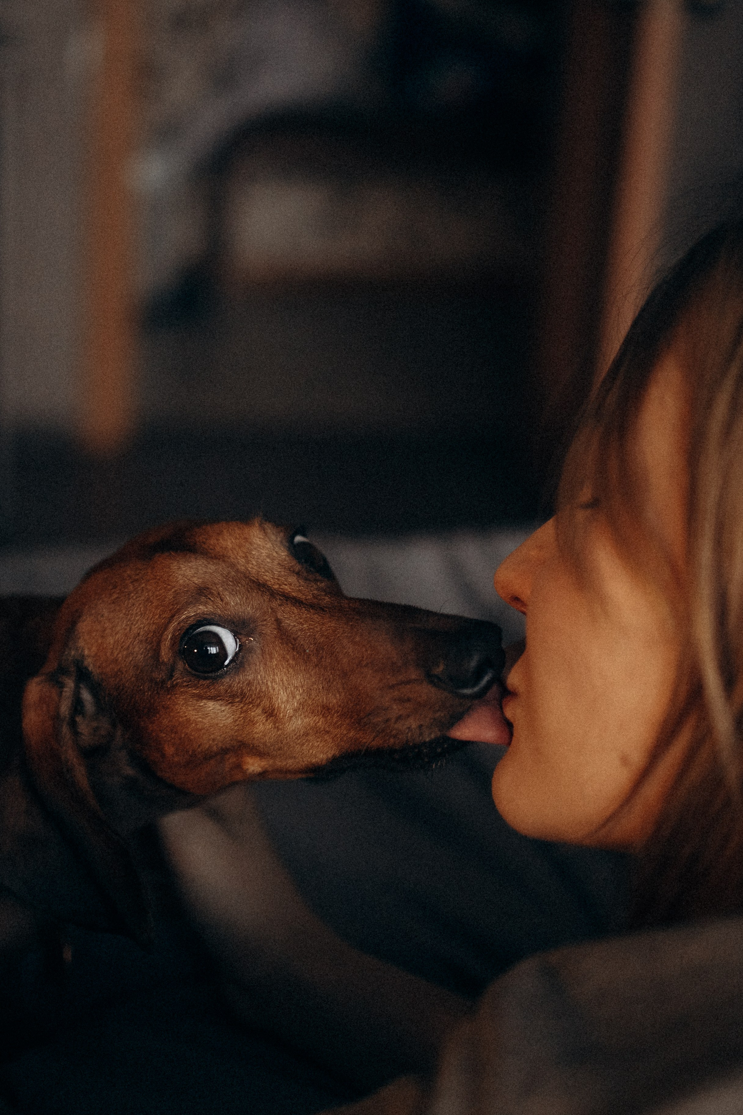 Маша и ее семья. Фотораф — анималист Мария Шистка