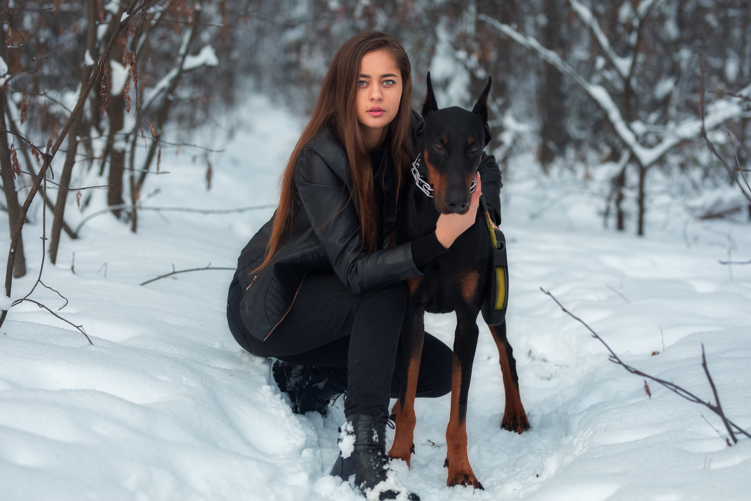 Зимняя съемка в лесу с доберманом с Ольгой в формате для «себя»