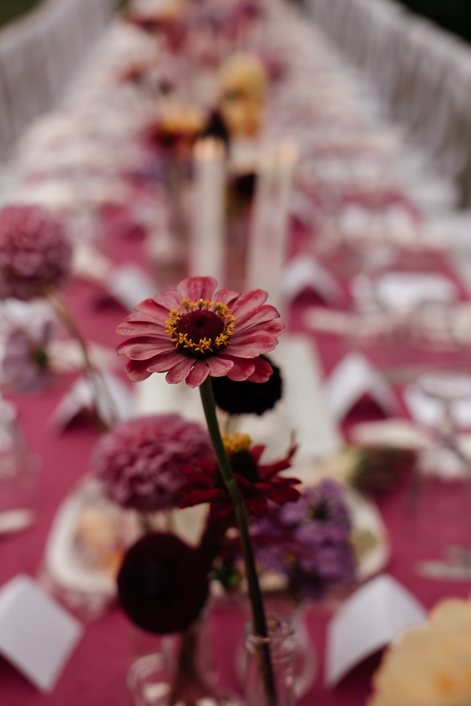 Свадебная церемония под открытым небом. Свадебный и семейный фотограф Виолетта Сидельникова. Краснодар, Россия, Беларусь, Европа