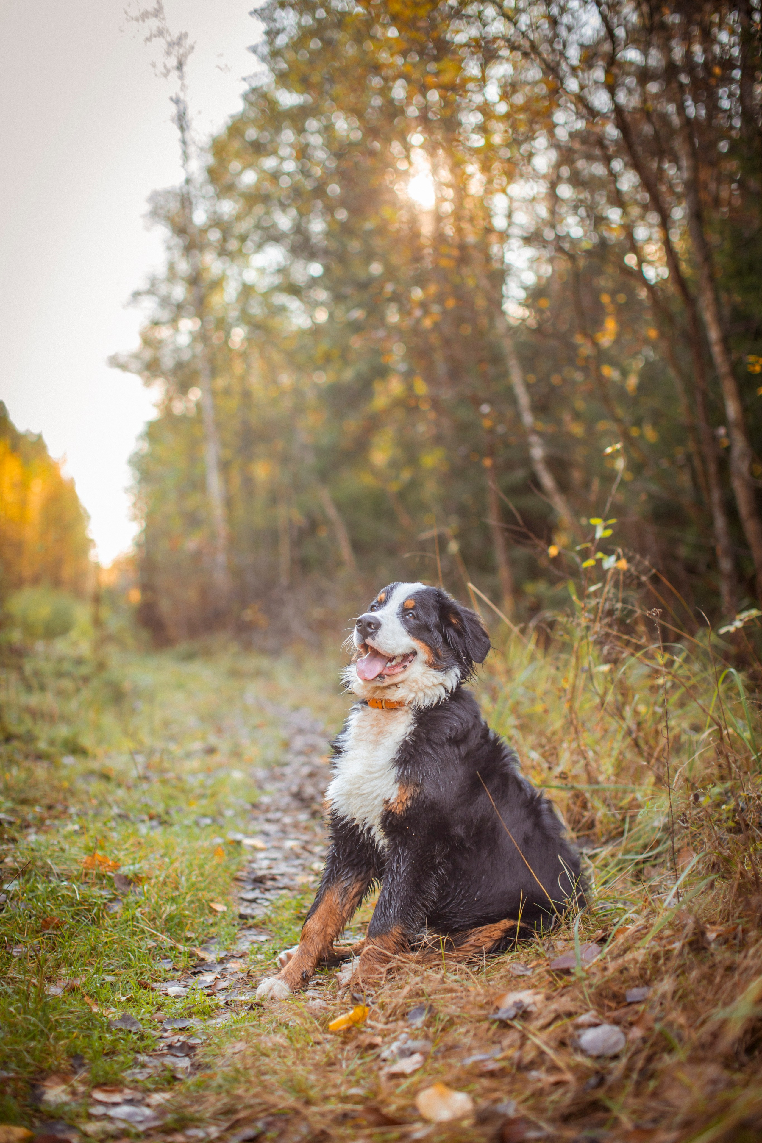 Прекрасная Вита. Фотограф Наталья Штукина