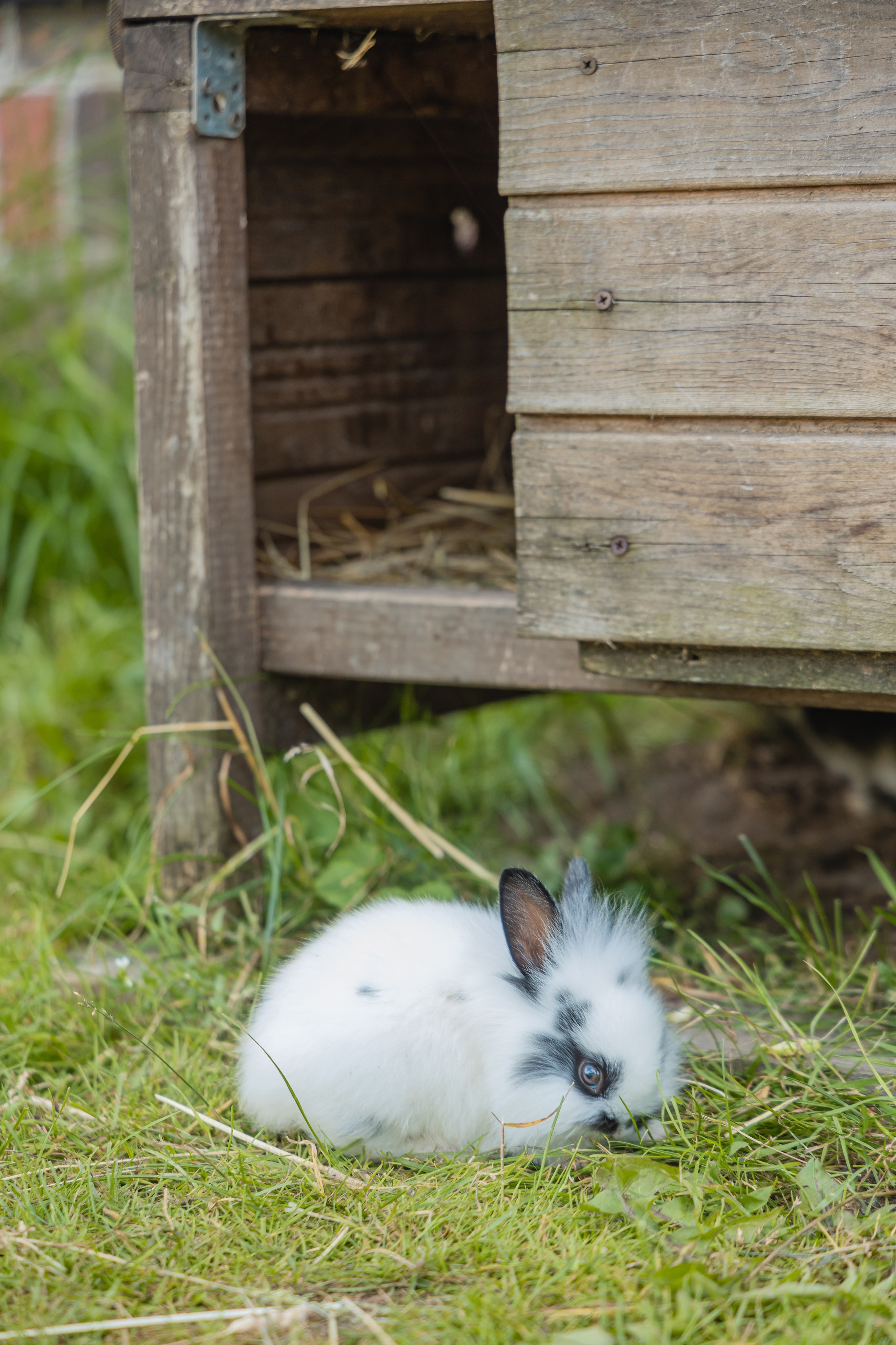 Форт 11. Фотограф Елена Медок Калининград