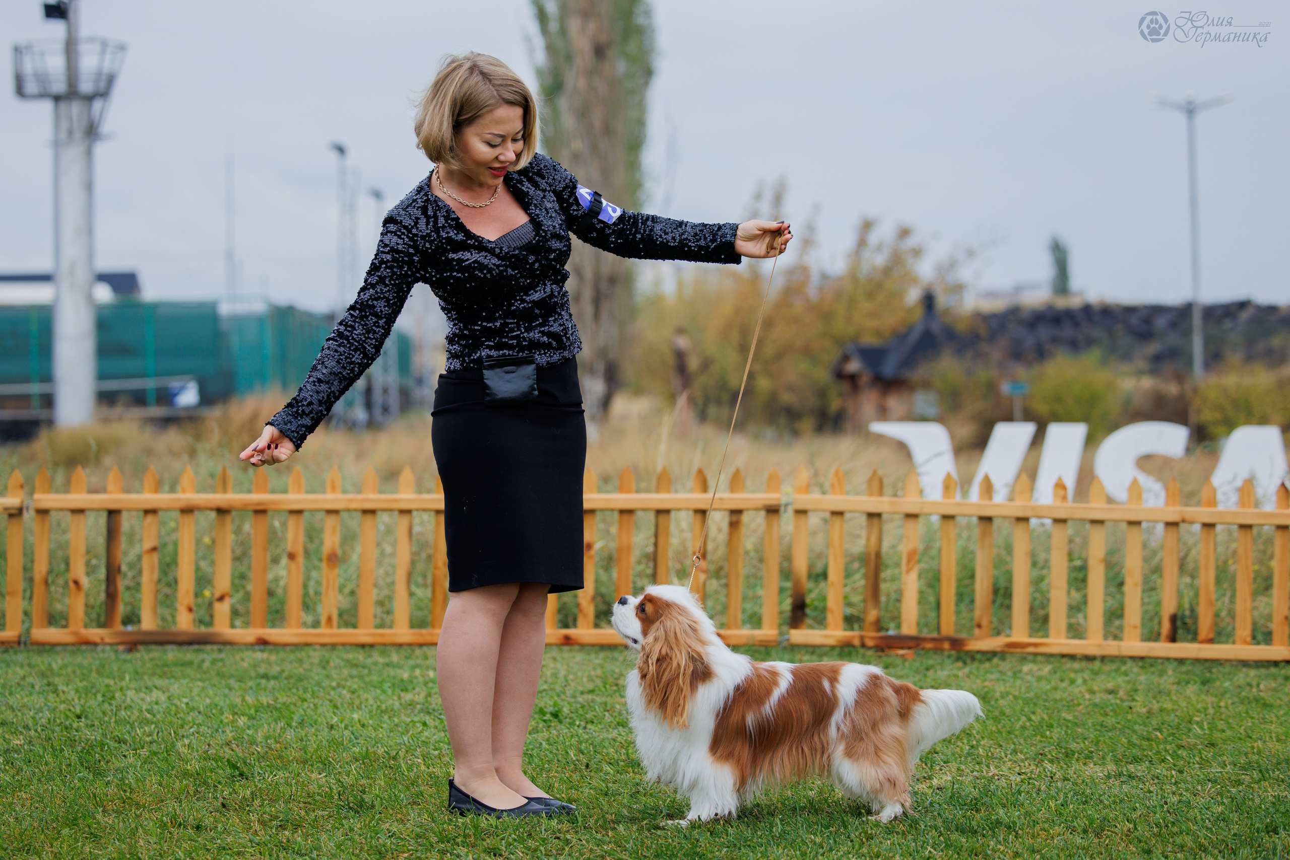 Армения,Ереван 3хCACIB 15-17.10.2024. Фотограф-анималист Юлия Германика