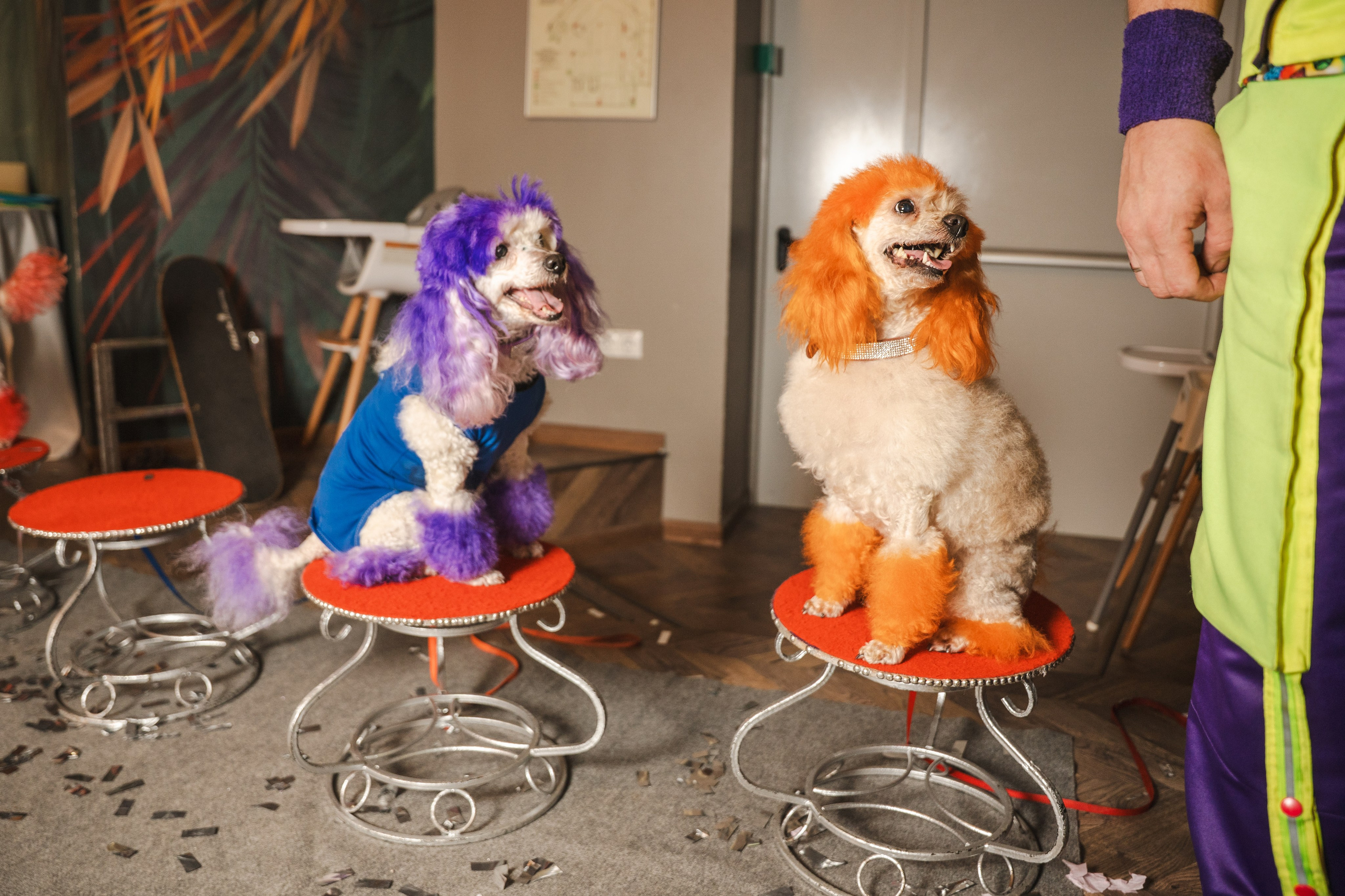 День рождения Есении. Главная