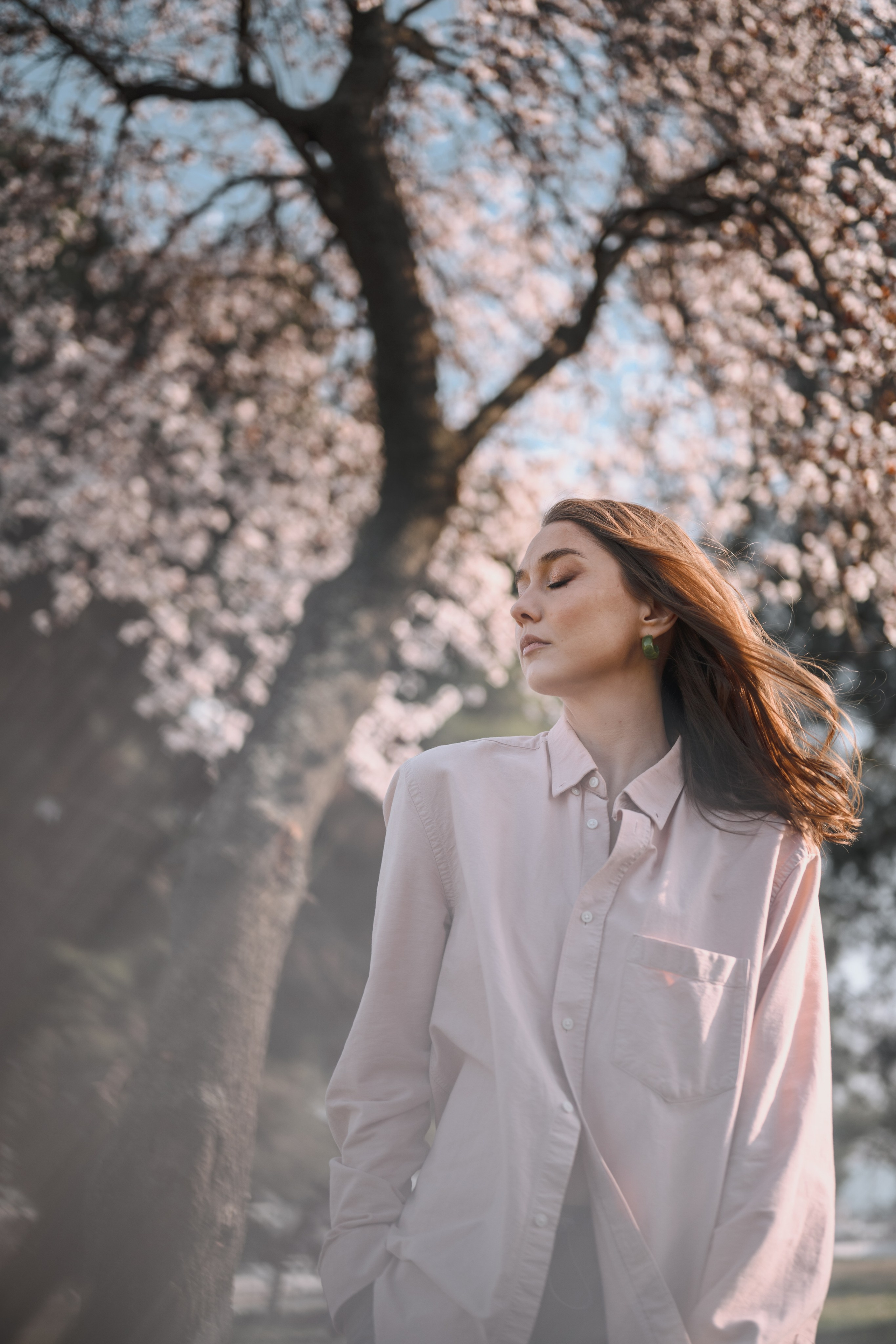 ЦВЕТЕНИЕ ВИШНИ В БЕЛГРАДЕ. Фотограф в Белграде Чугреева Елена